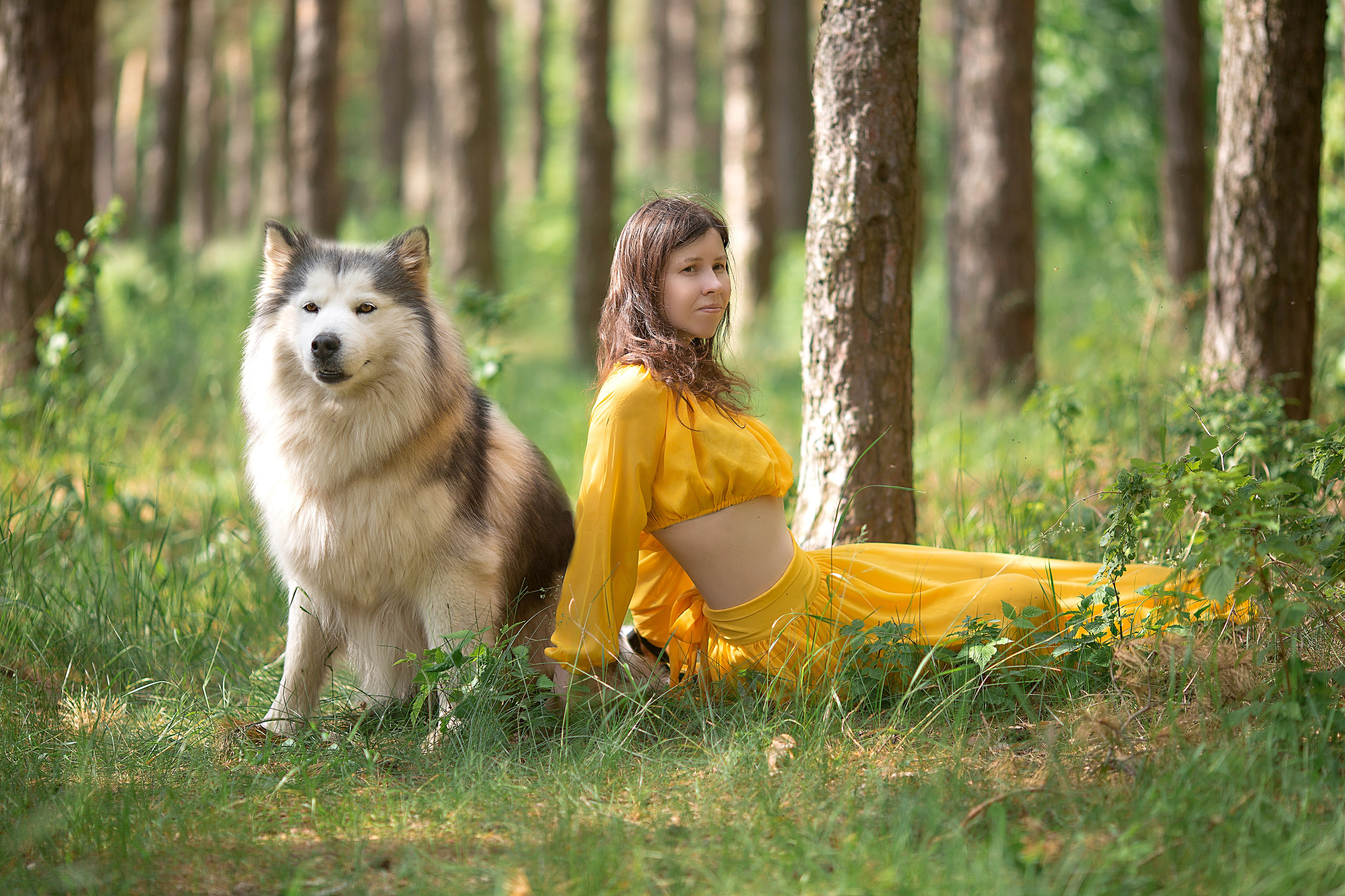 Наталья фотосессия с собаками. Фотосессия с лошадьми в Нижнем Новгороде