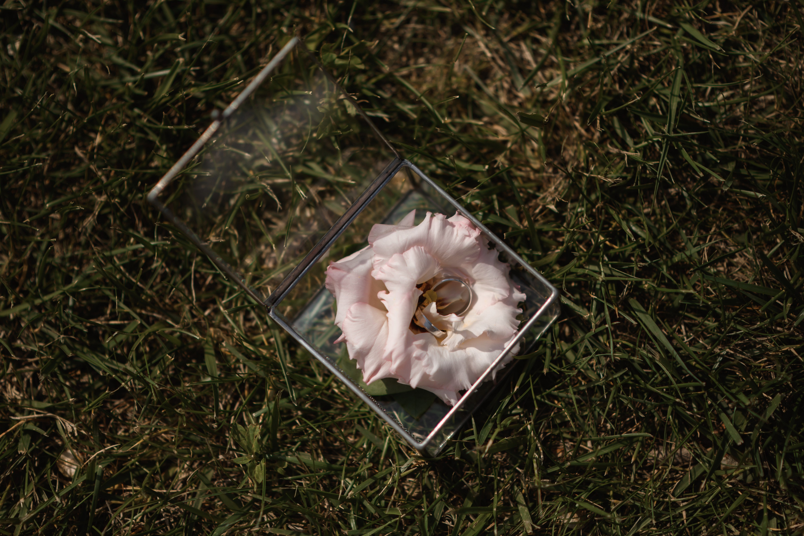 I & L. Свадебный фотограф в г. Астрахань. Так же выезжаю в другие города