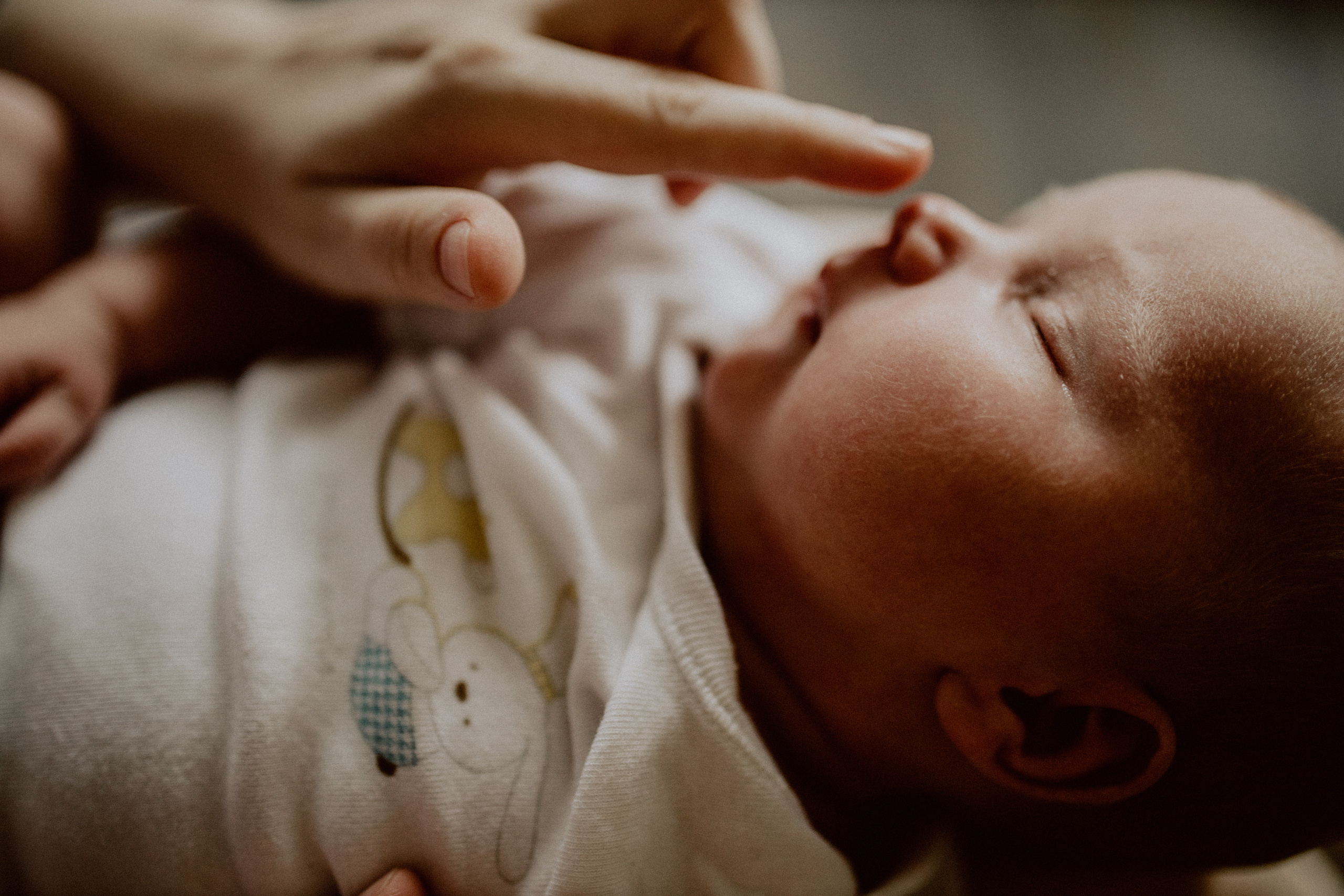 Алина с семьей. Семейный, детский фотограф, видеограф. Город Владивосток Рубцова Юлия