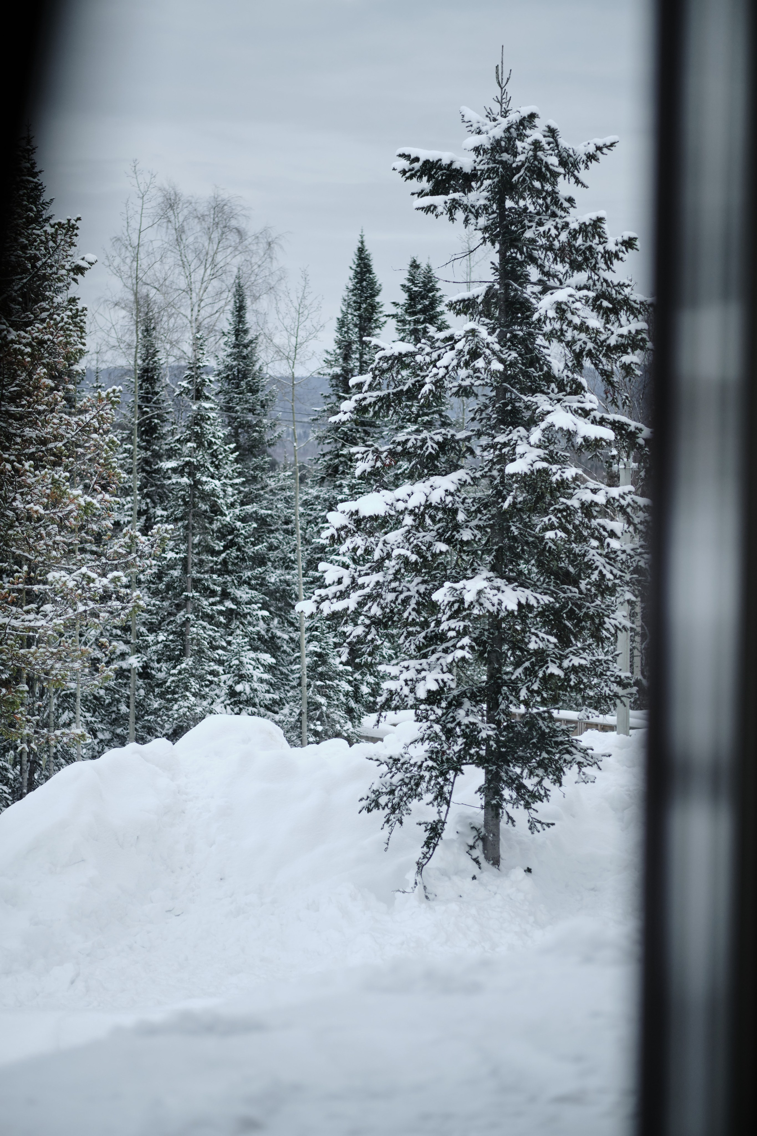 Ледовая 59 Дом 1. Свадебный и семейный фотограф в Новокузнецке Иван Иванов