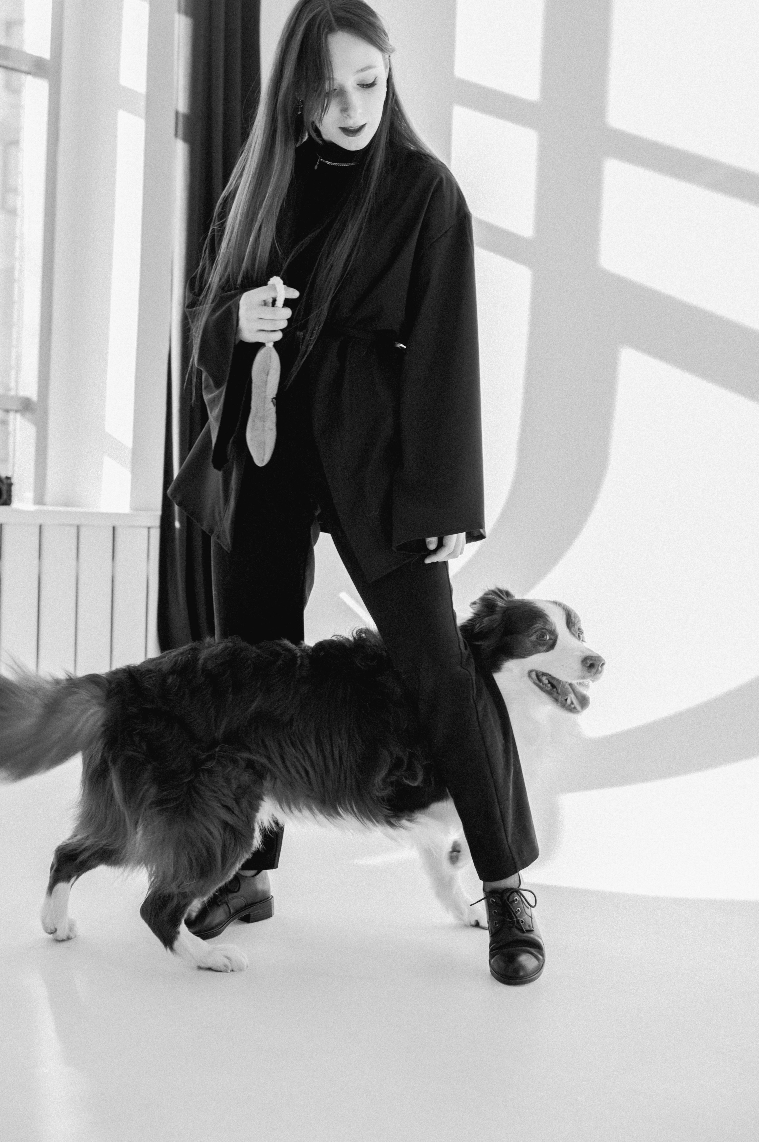 Аня и бордер-колли Вик (Королев, 2025). Анна Пушина, фотограф, Москва, Королев, Пушкино