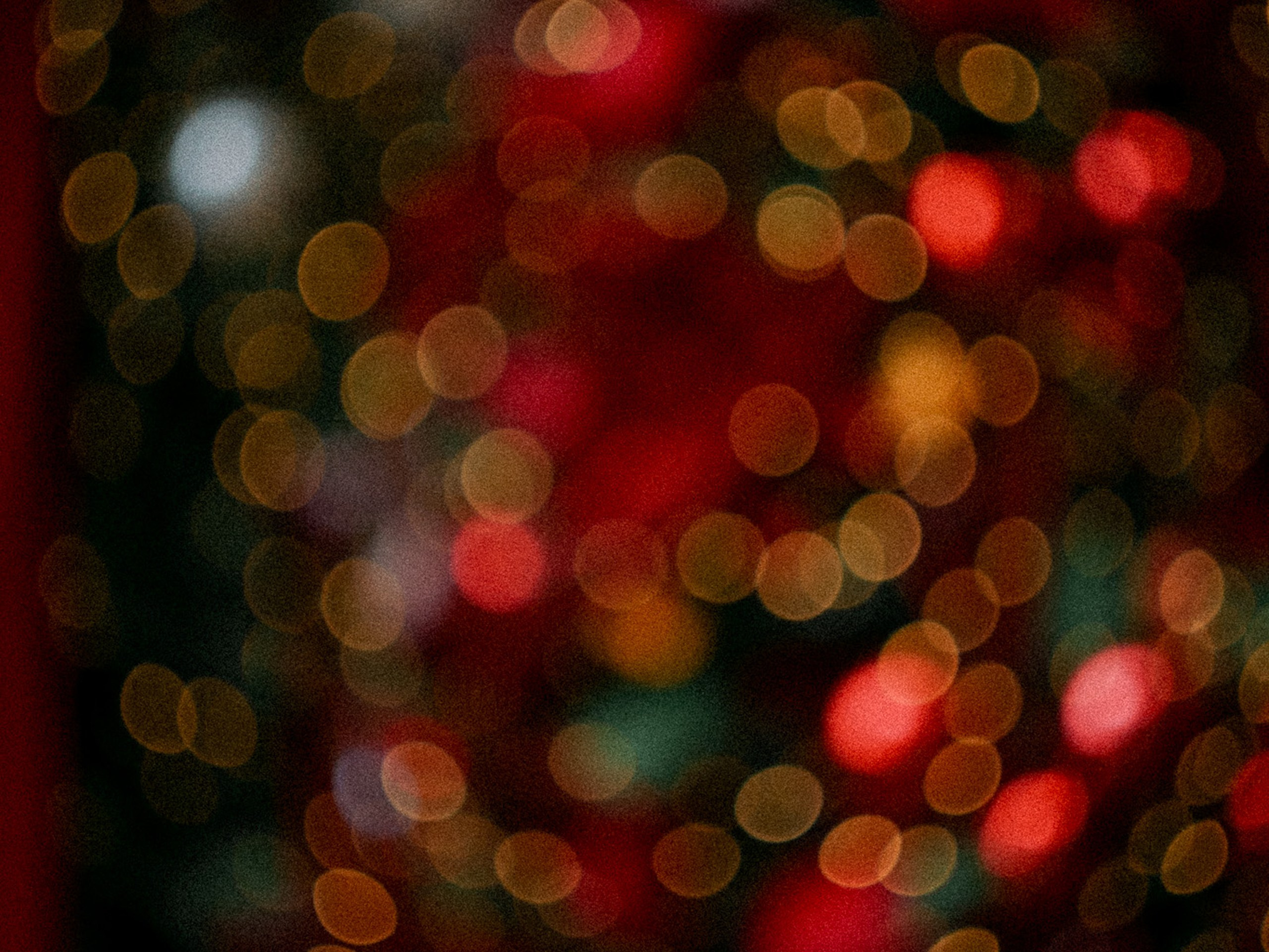 🎄 Новогодняя фотосессия в Москве 2025-2026: Цены, Локации и Пакеты. Женский фотограф в Москве Ксения Казакова