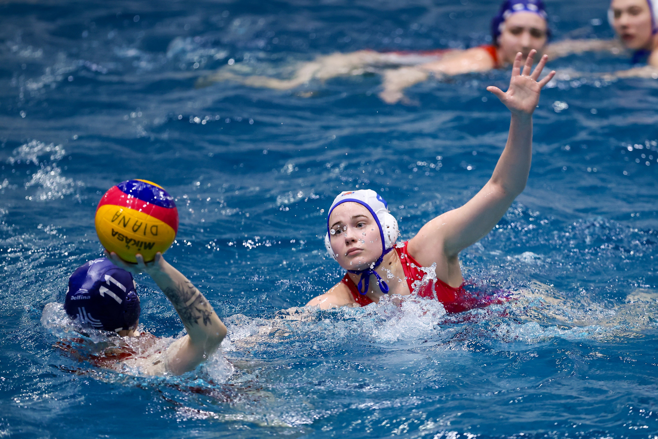 ВК «Диана» — ВК «Скиф-Восток» 24.01.2026. Спортивный и репортажный фотограф Антон Тереханов