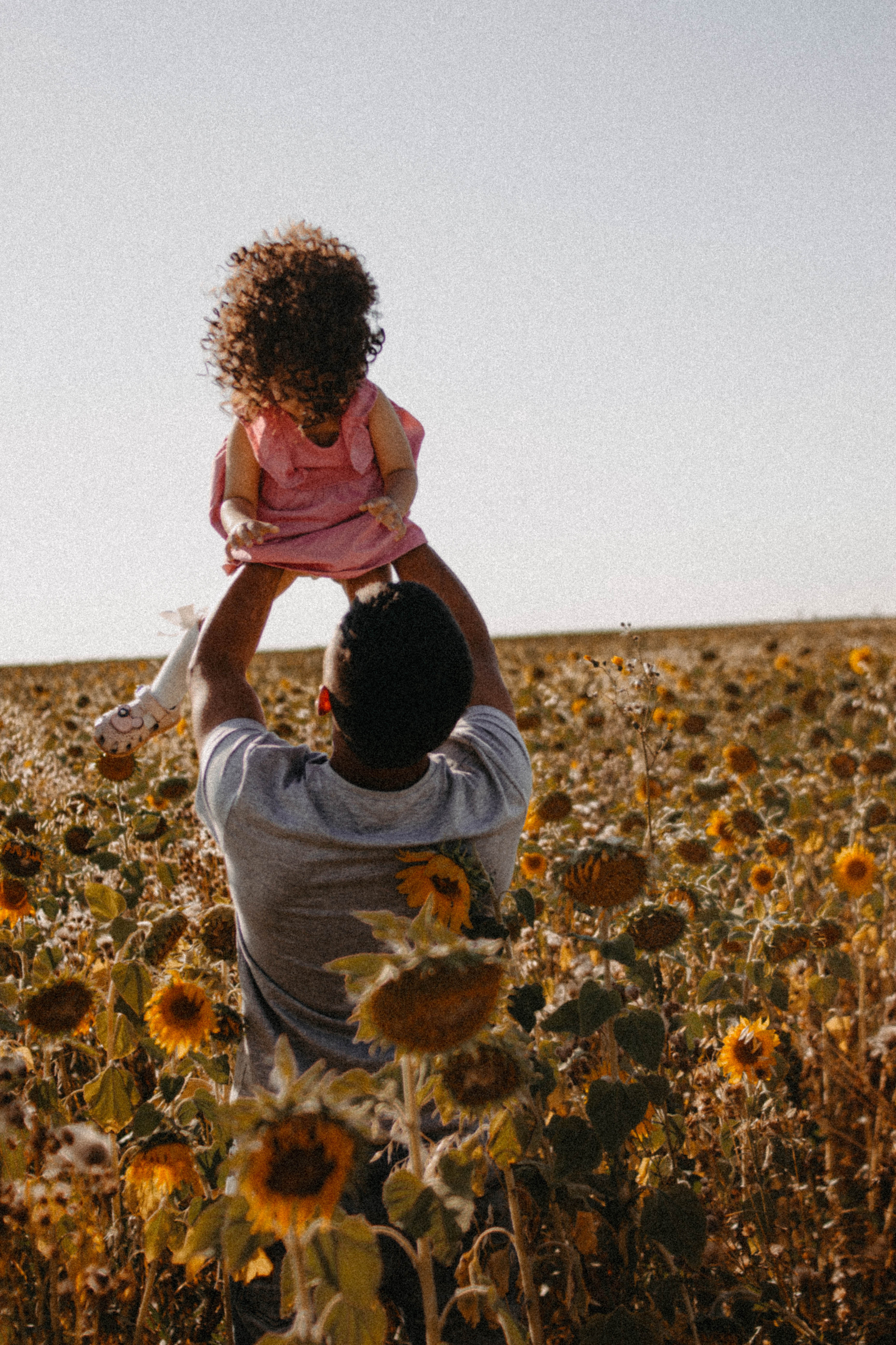 Семейная история в подсолнухах. Свадебный фотограф Челябинск