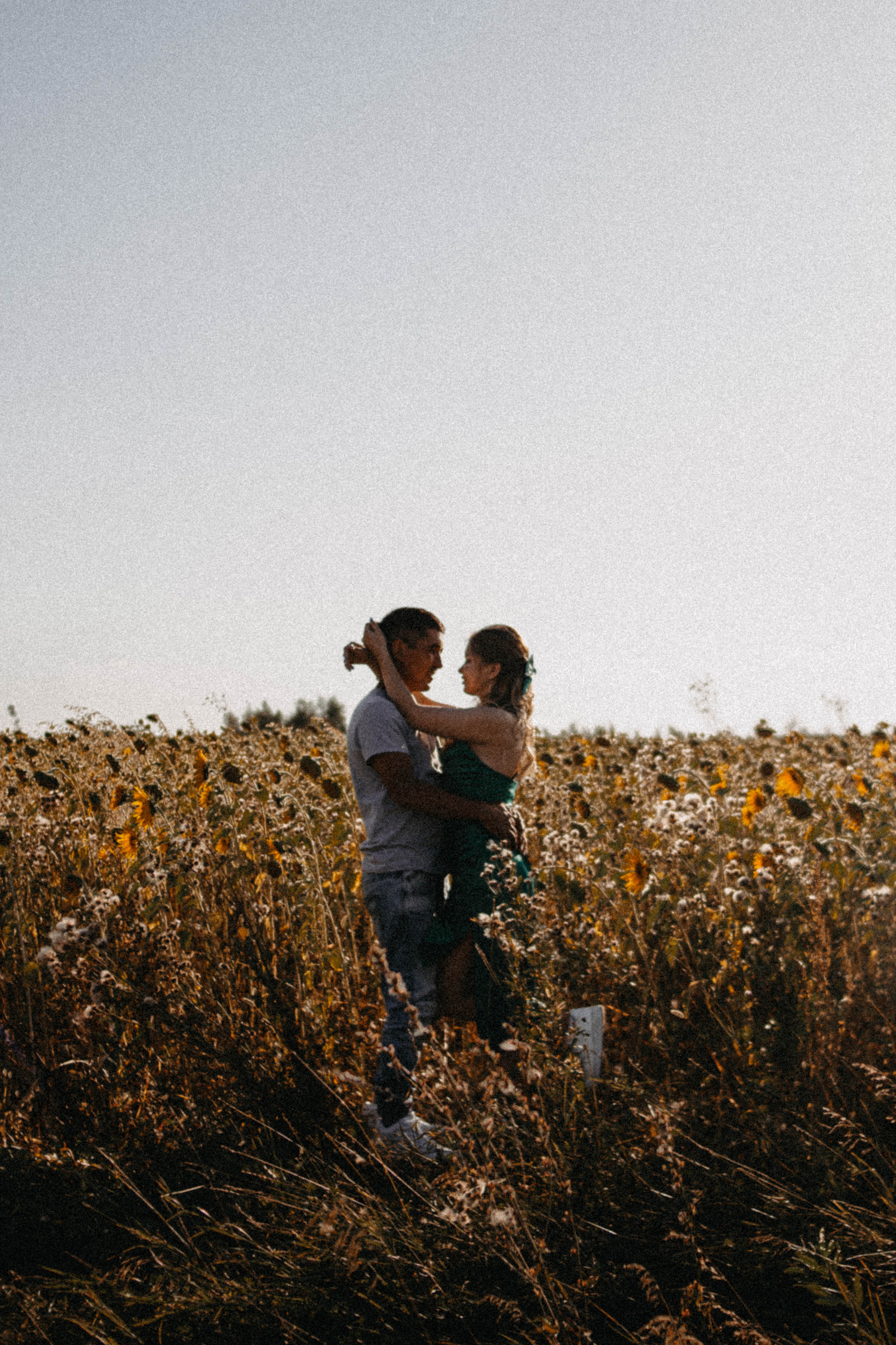Семейная история в подсолнухах. Свадебный фотограф Челябинск
