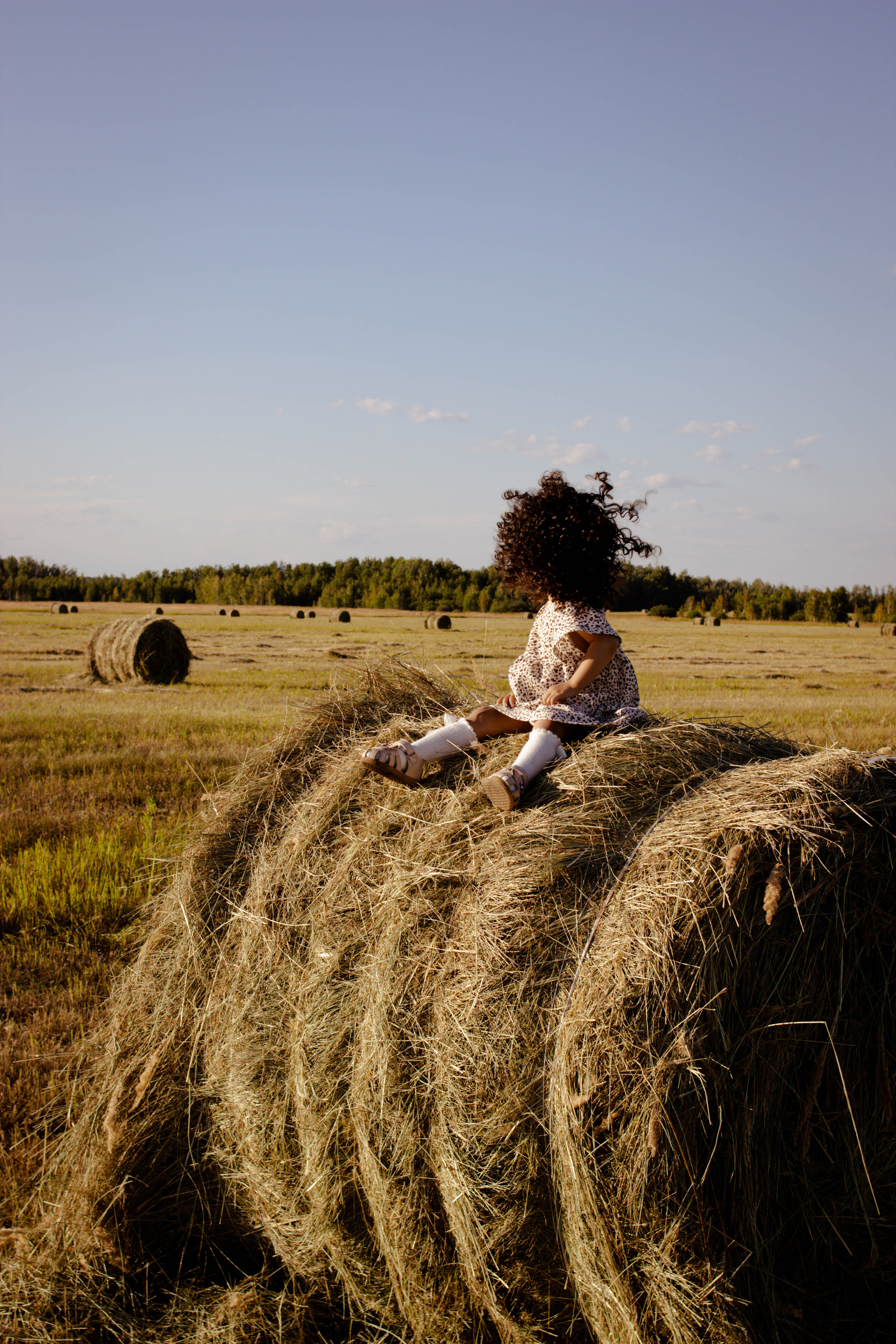 Семейная история в подсолнухах. Свадебный фотограф Челябинск