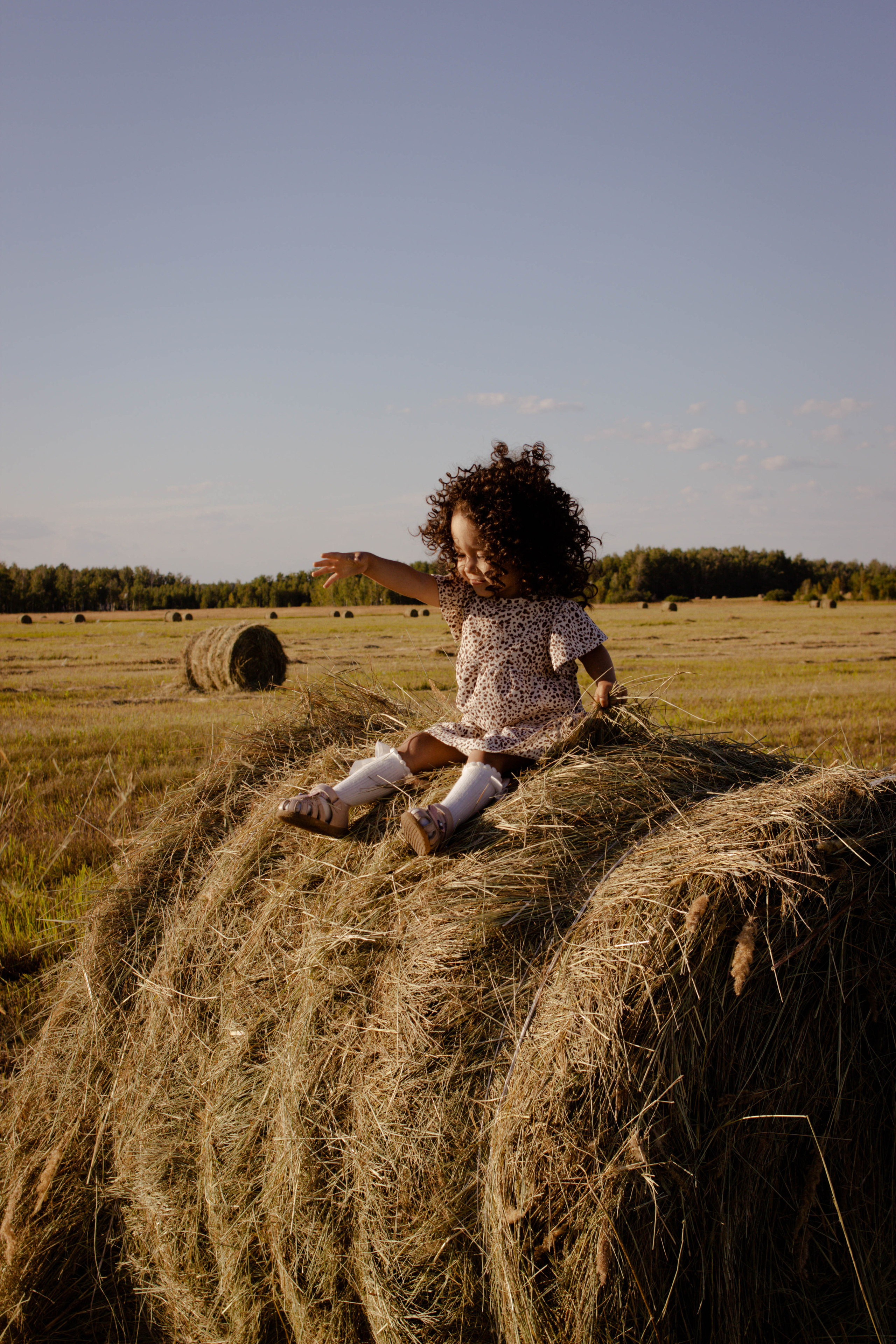 Семейная история в подсолнухах. Свадебный фотограф Челябинск