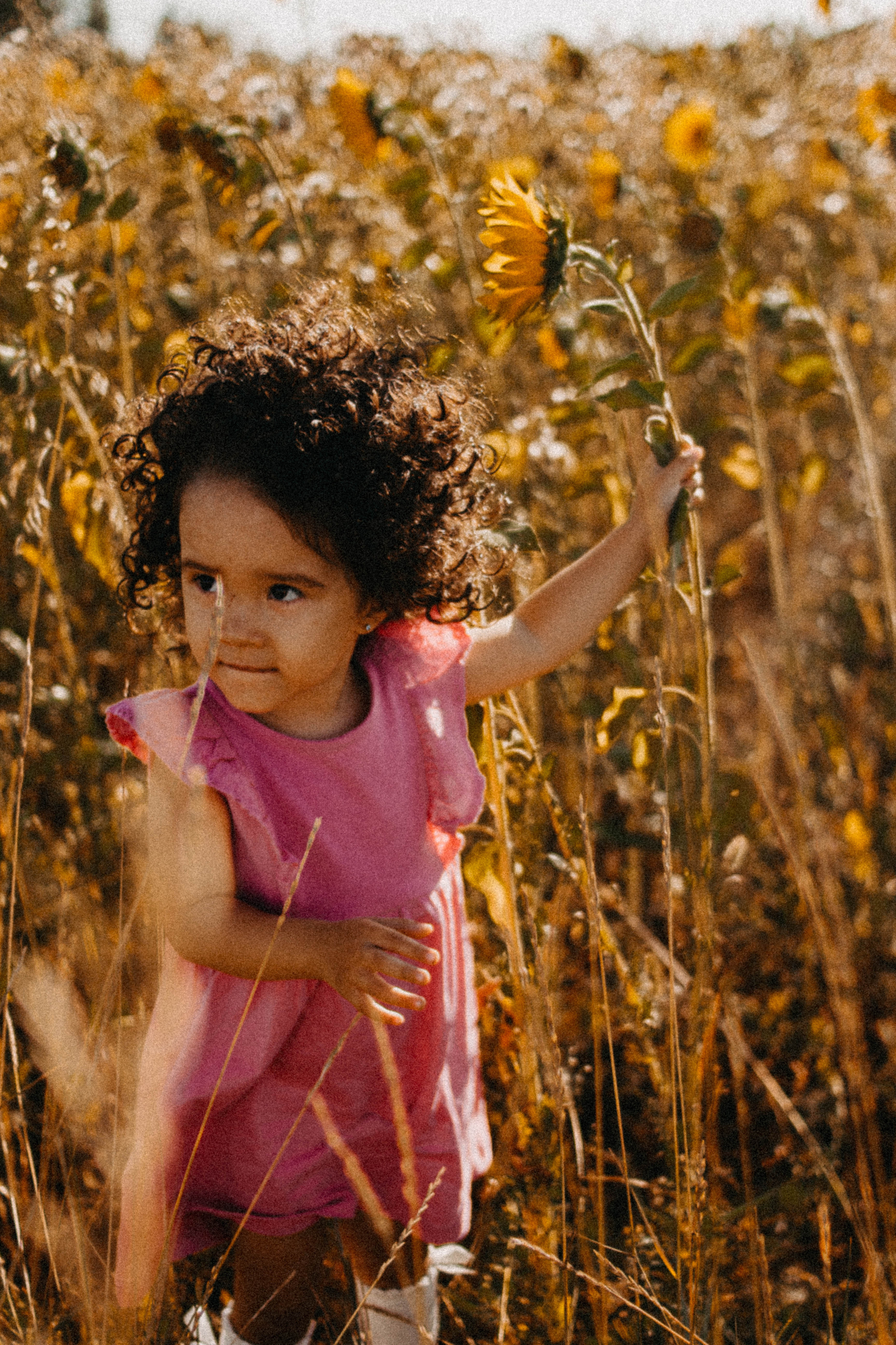 Семейная история в подсолнухах. Свадебный фотограф Челябинск