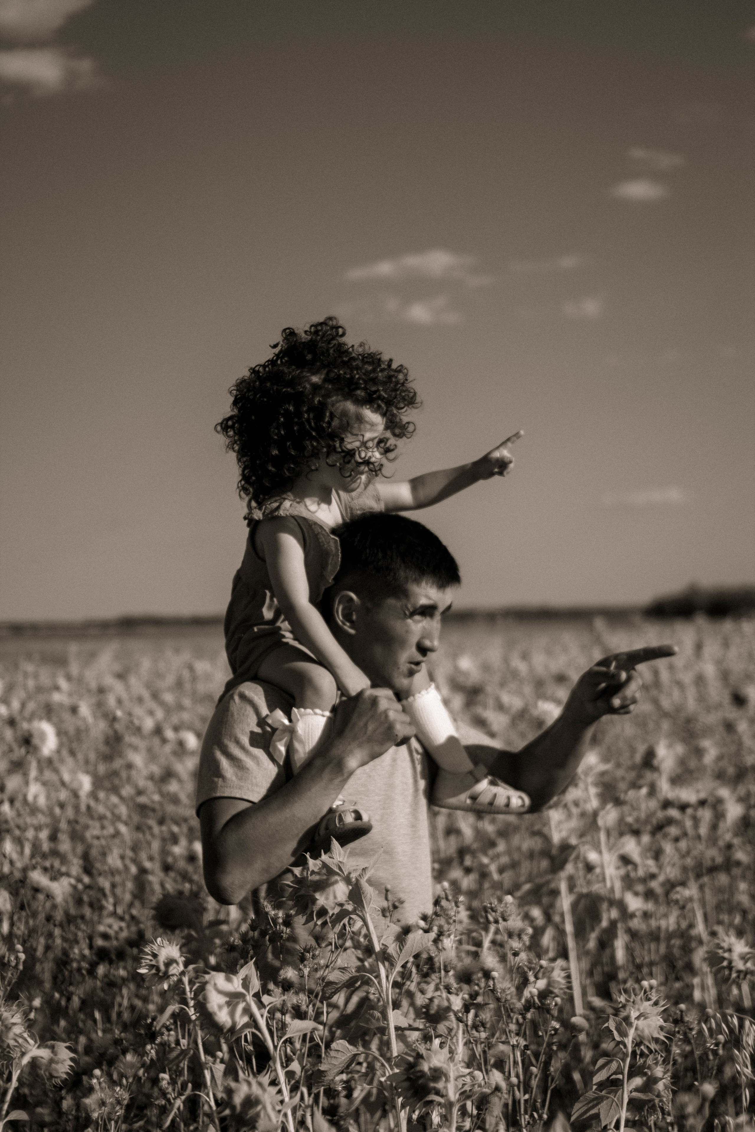 Семейная история в подсолнухах. Свадебный фотограф Челябинск