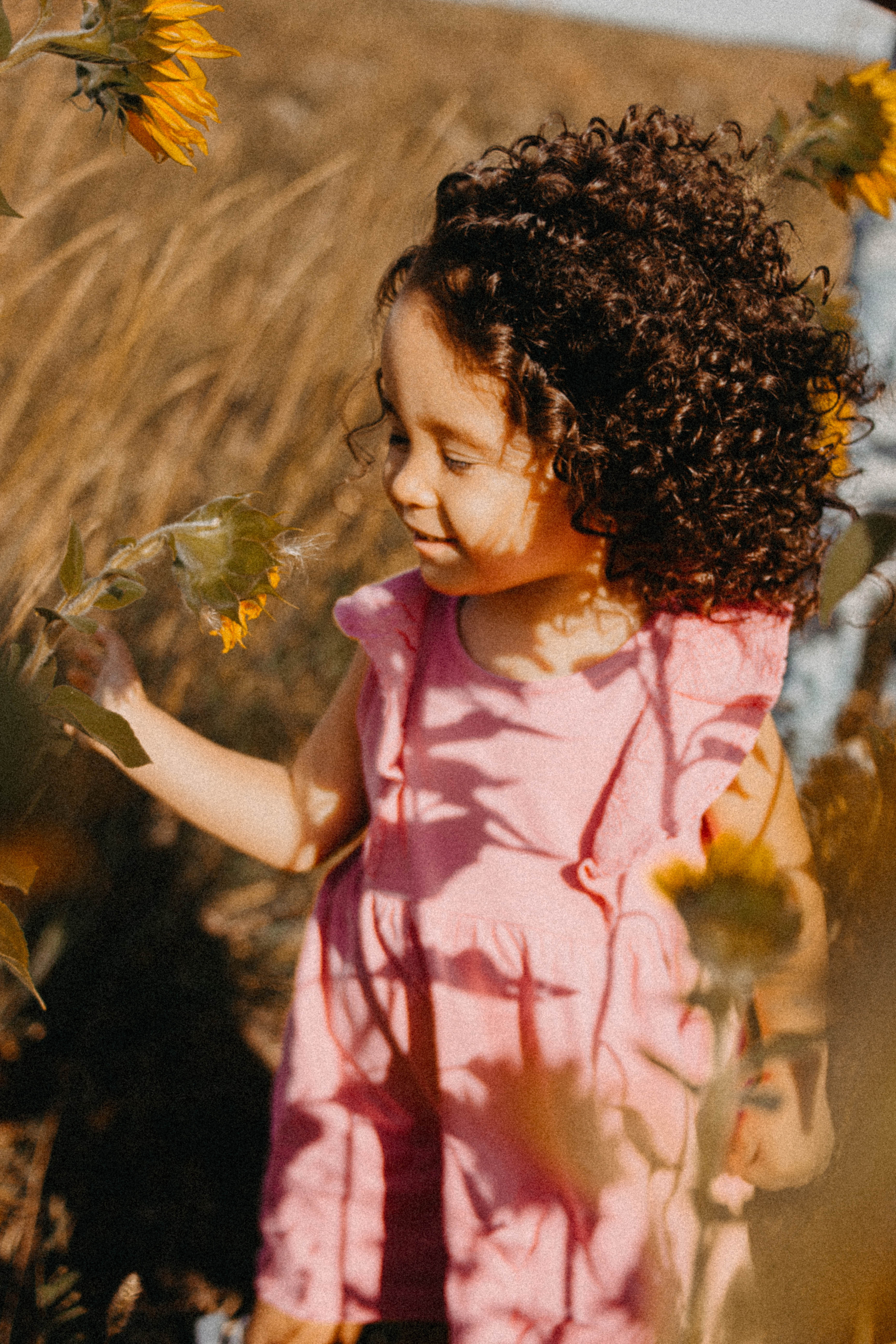 Семейная история в подсолнухах. Свадебный фотограф Челябинск