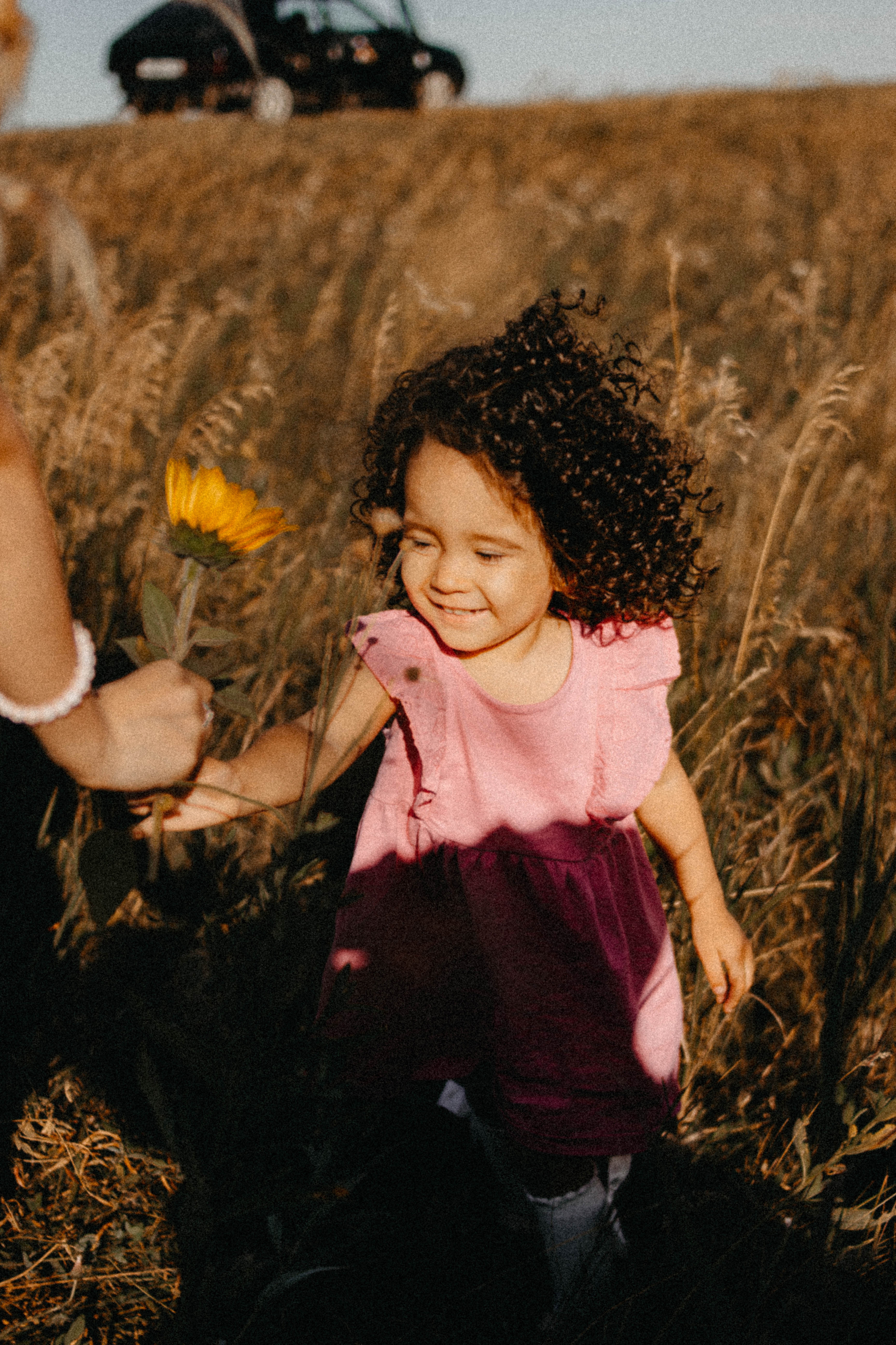 Семейная история в подсолнухах. Свадебный фотограф Челябинск