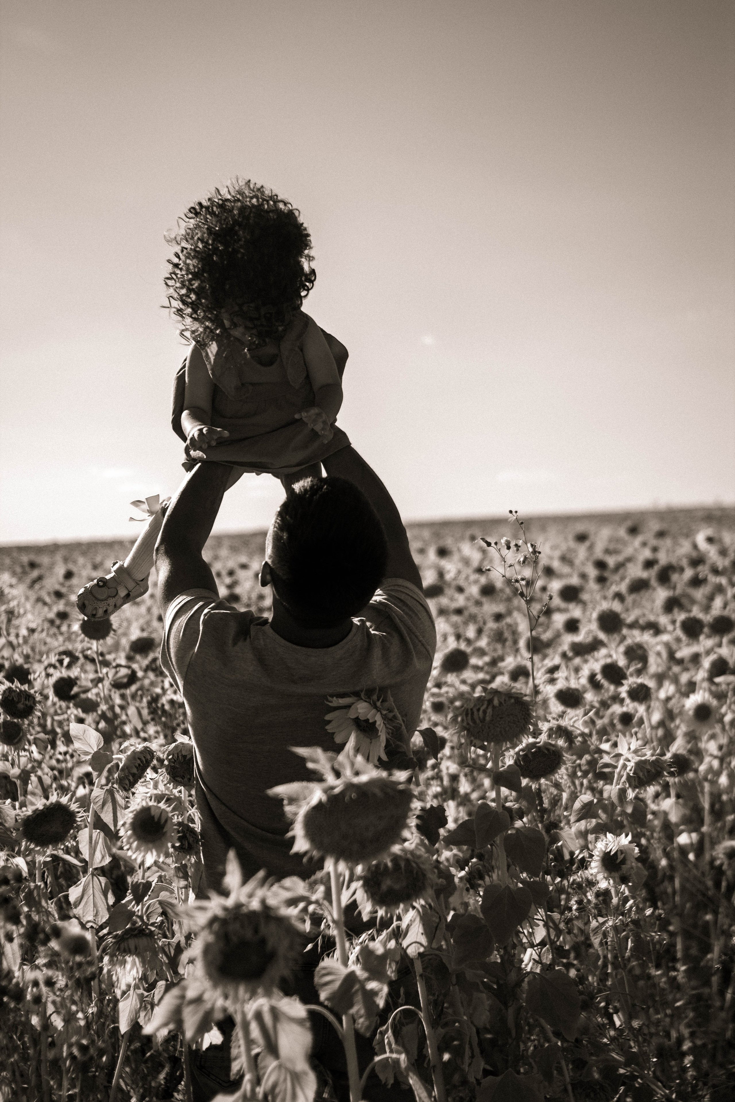 Семейная история в подсолнухах. Свадебный фотограф Челябинск