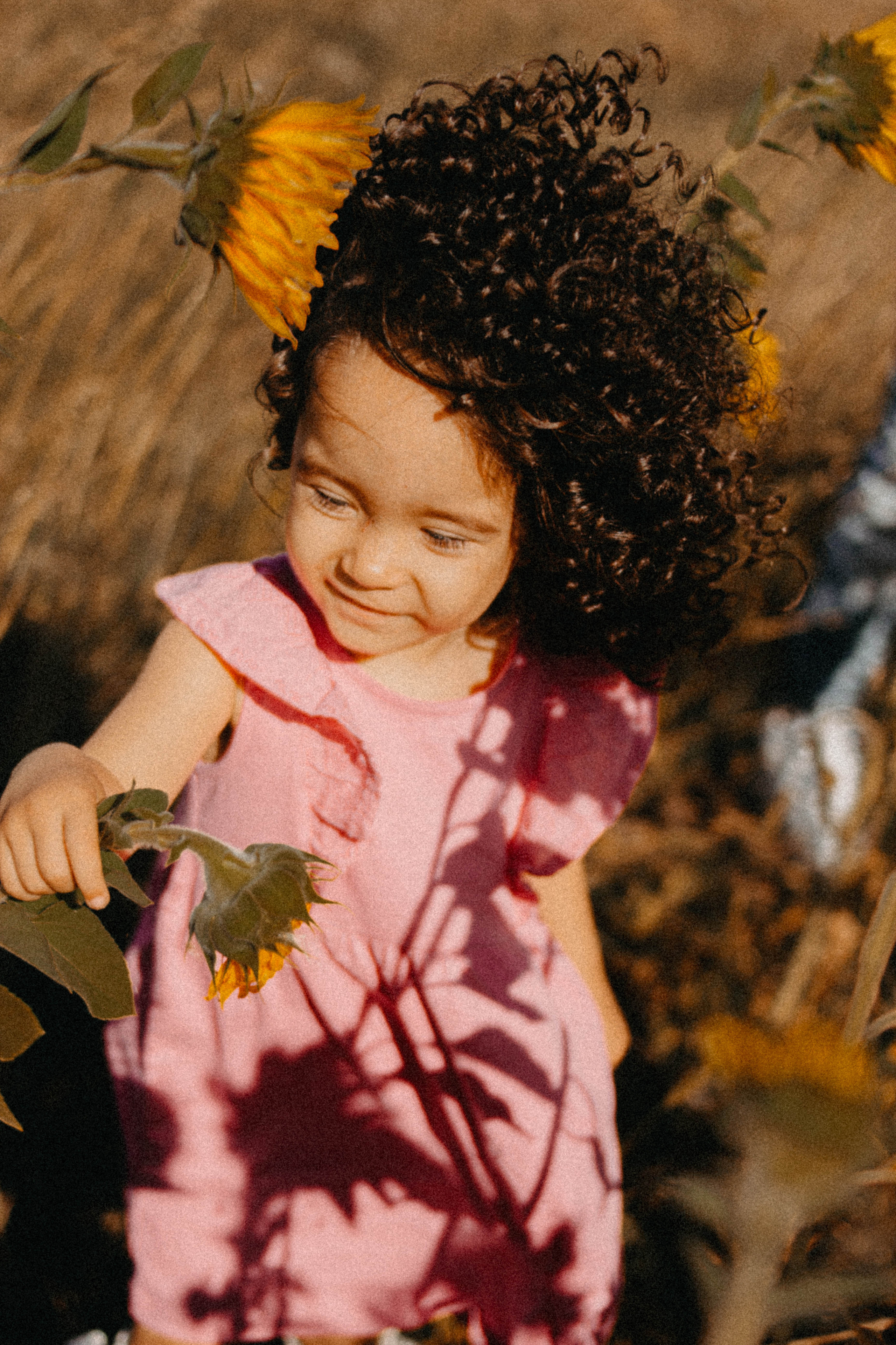 Семейная история в подсолнухах. Свадебный фотограф Челябинск