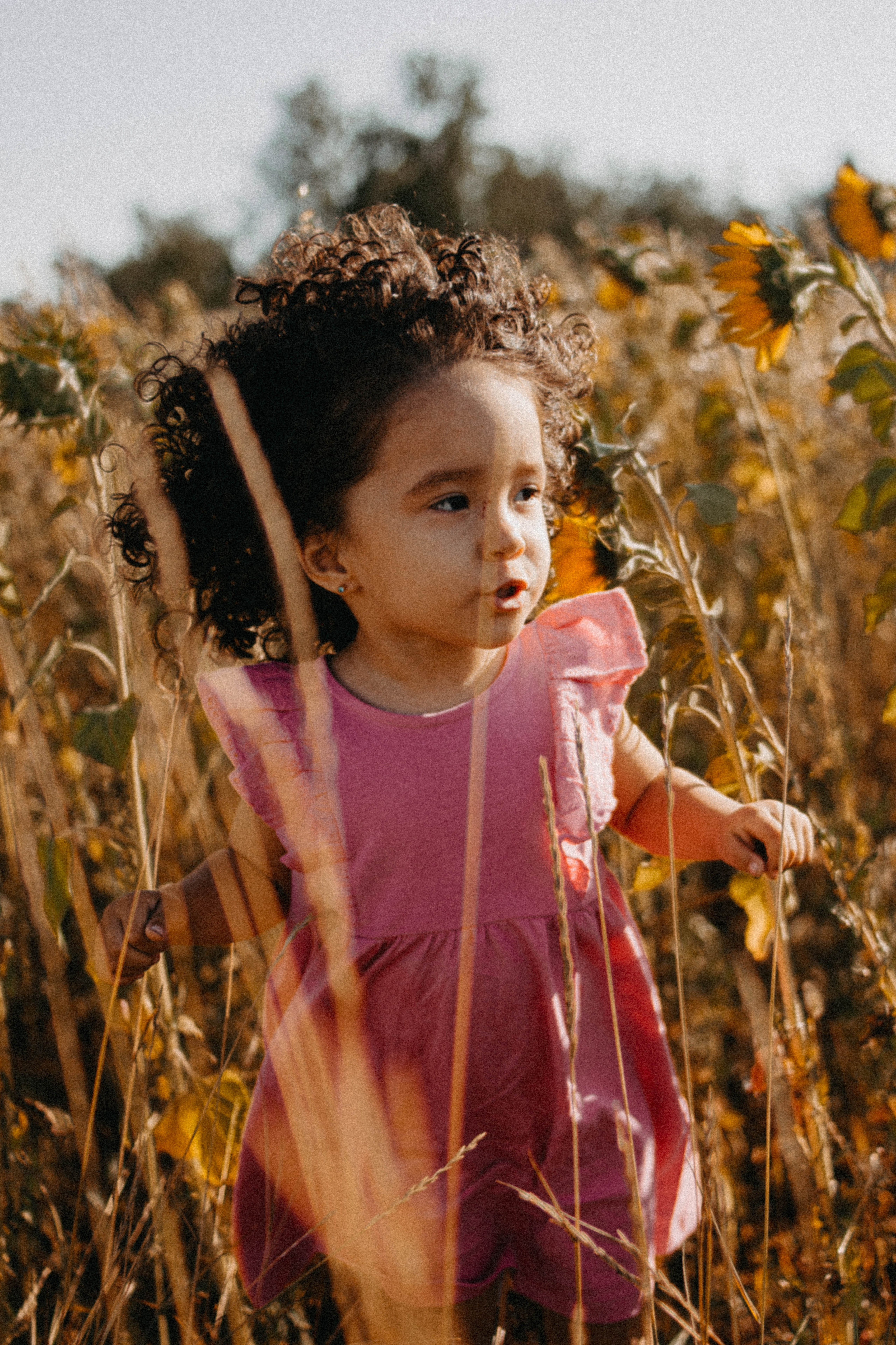 Семейная история в подсолнухах. Свадебный фотограф Челябинск