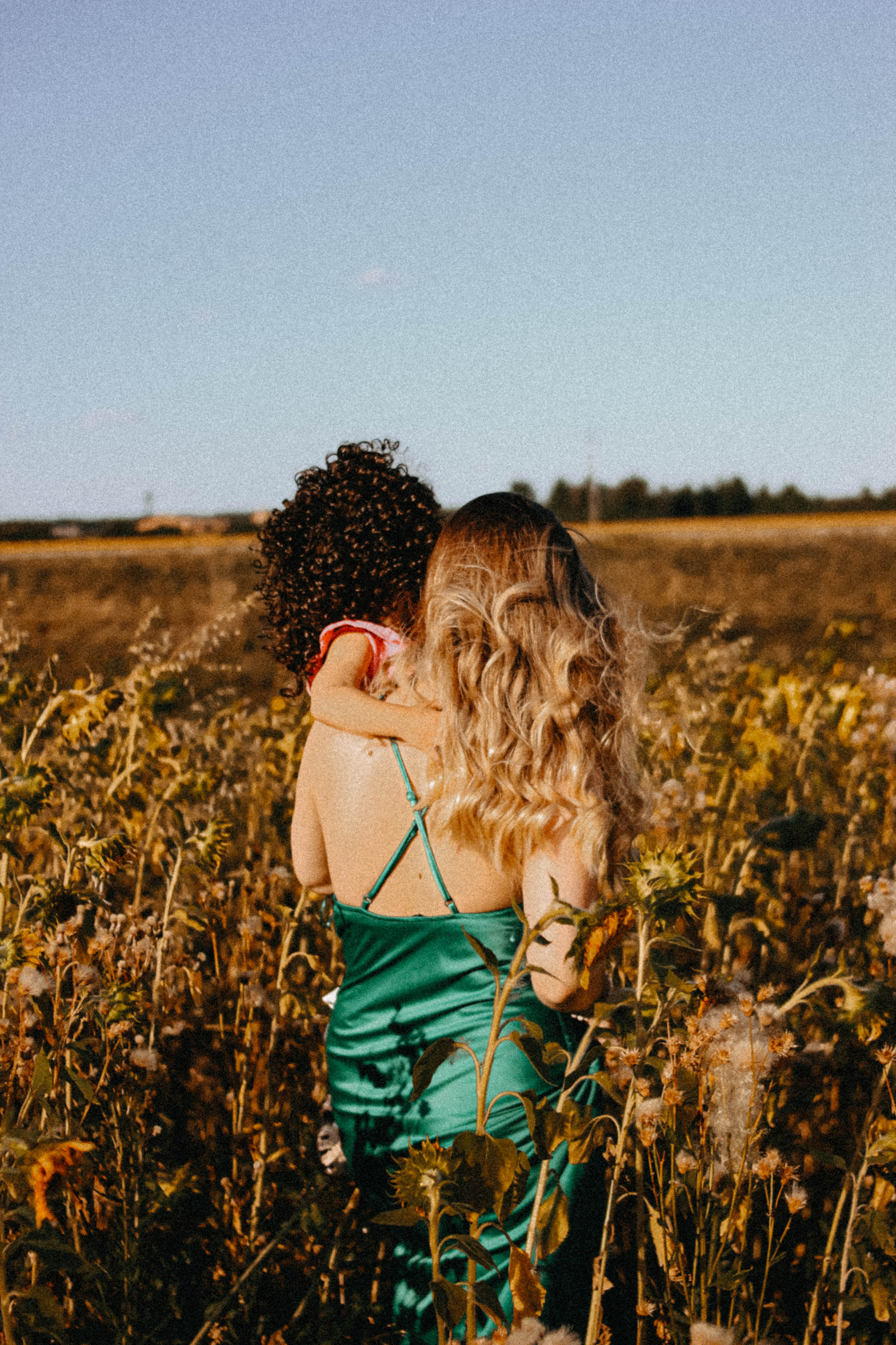 Семейная история в подсолнухах. Свадебный фотограф Челябинск
