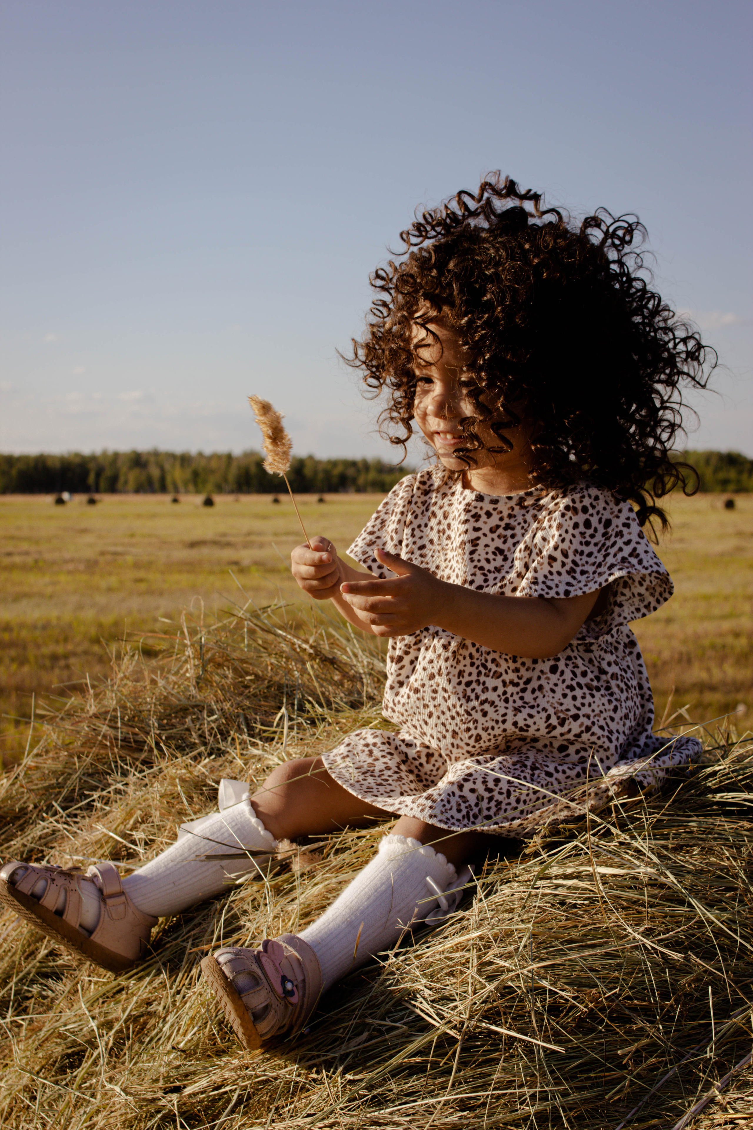 Семейная история в подсолнухах. Свадебный фотограф Челябинск