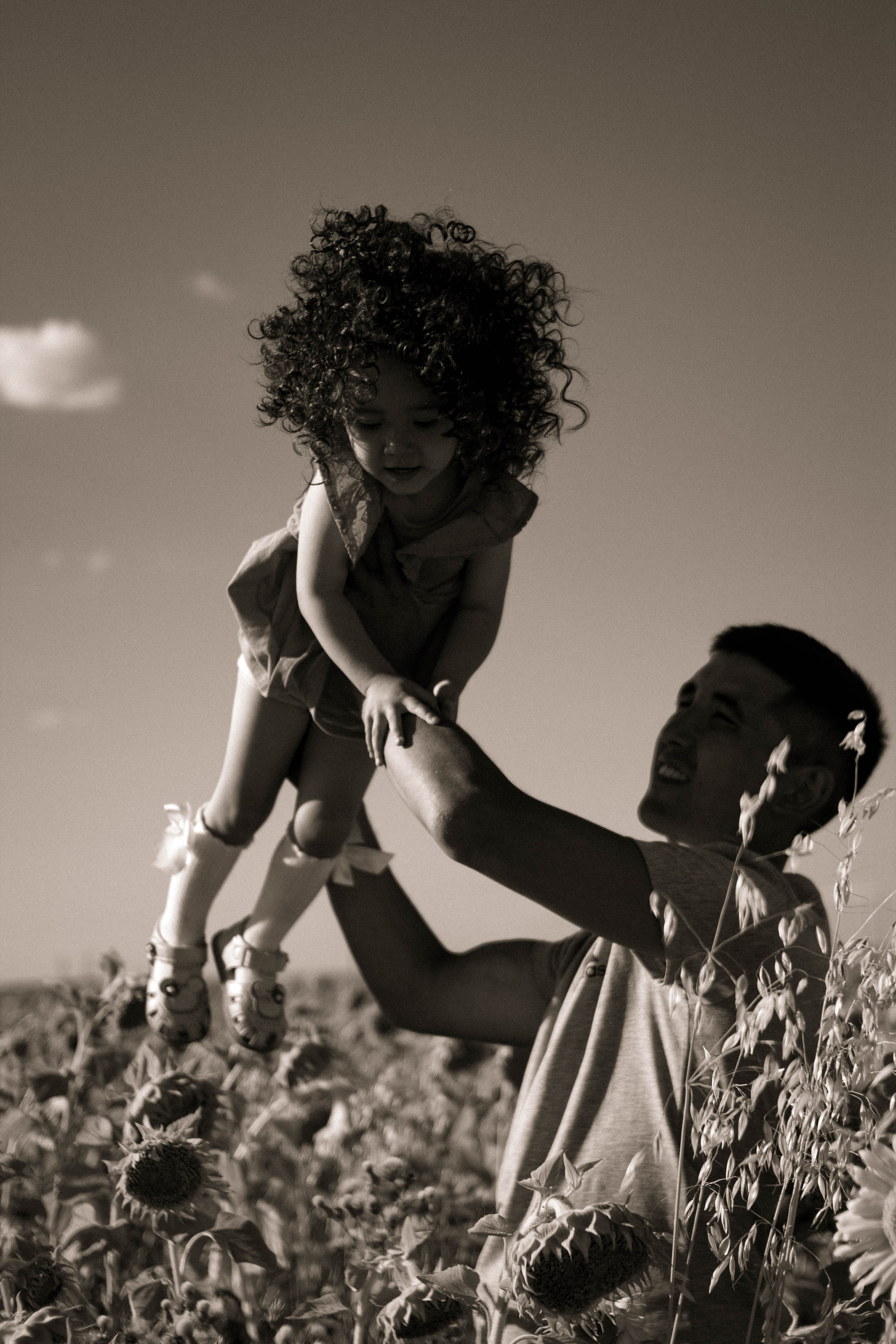 Семейная история в подсолнухах. Свадебный фотограф Челябинск