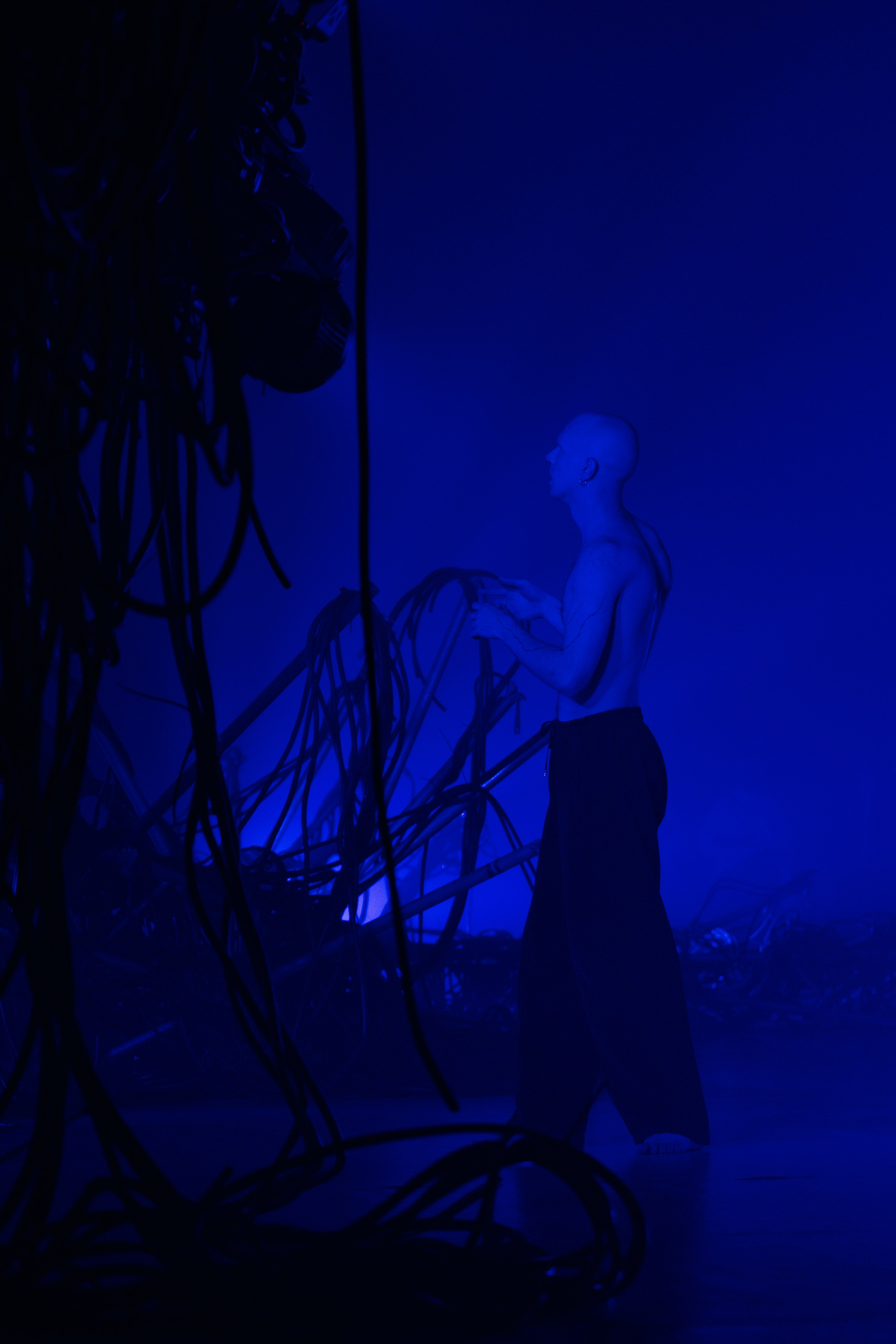 PERFORMA, The Hour of the Horse. @tomrus: Рустам Шагиморданов — фотограф