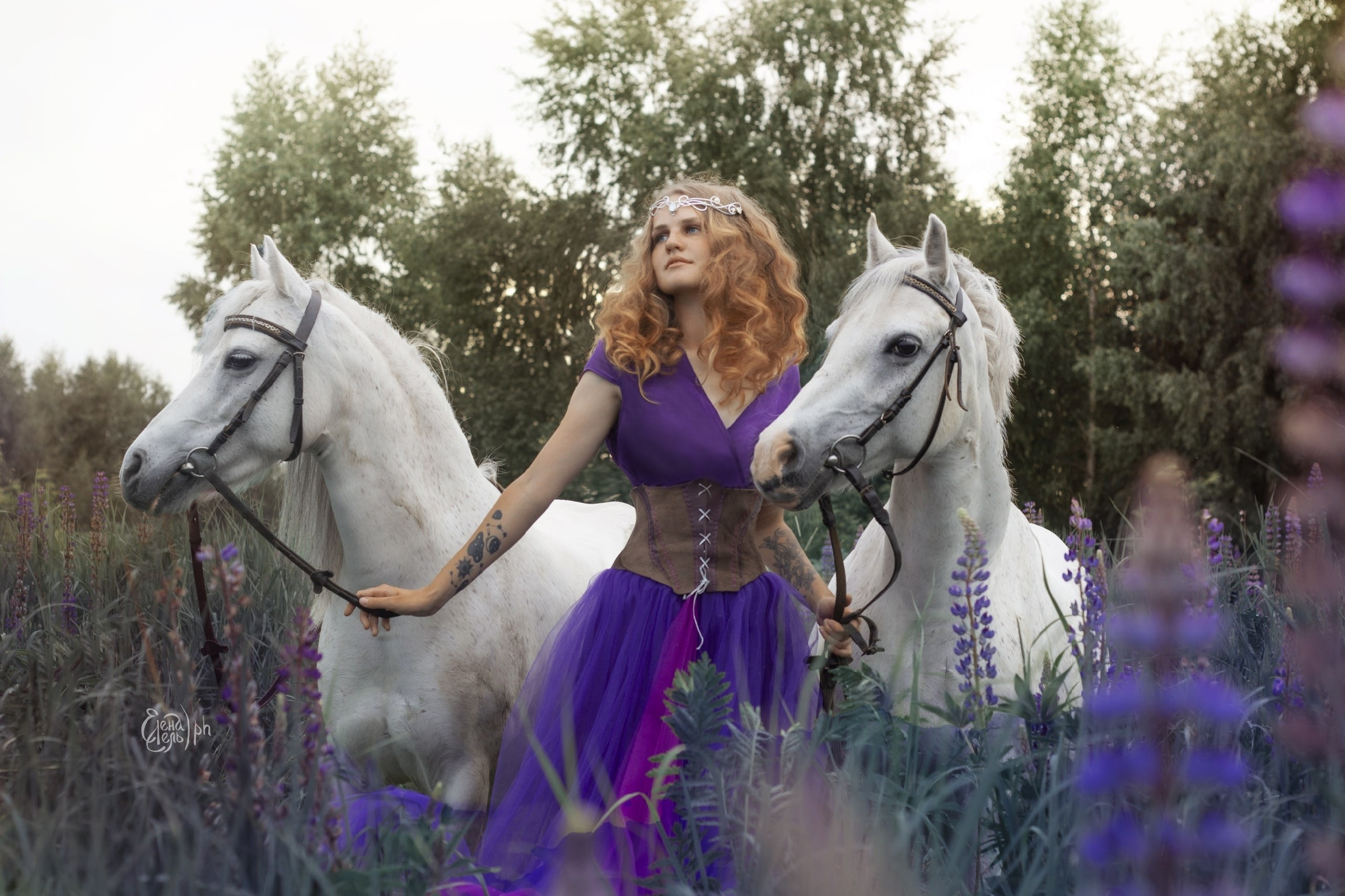 Фотосессии с лошадью. Фотосессия с лошадьми