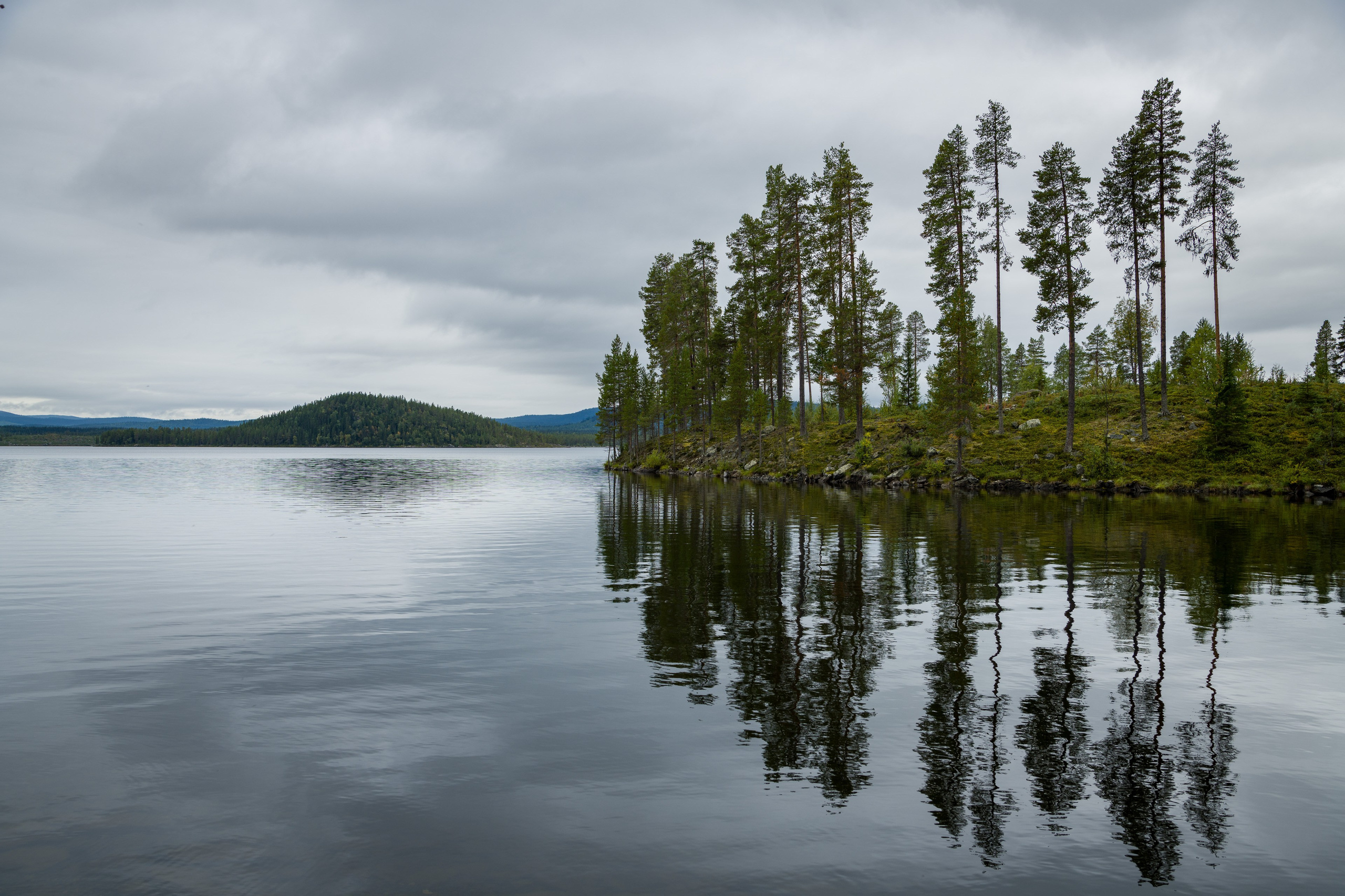 Шведская Тайга. Северные Ночи