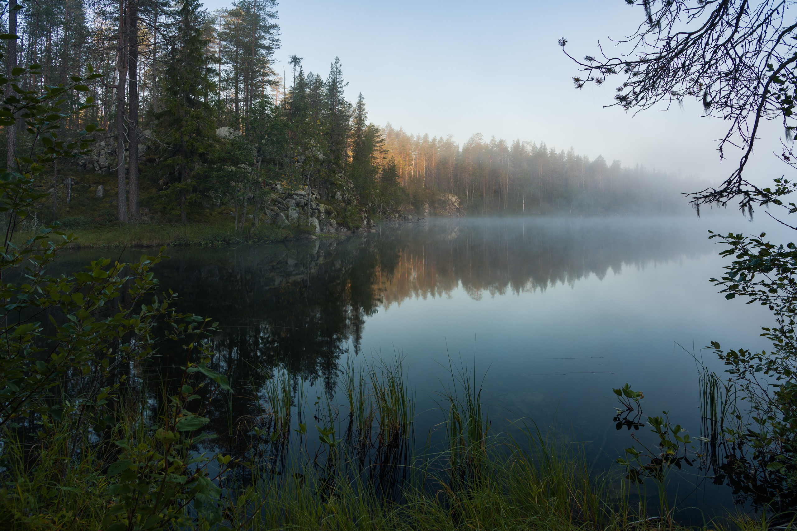Лето. Северные Ночи