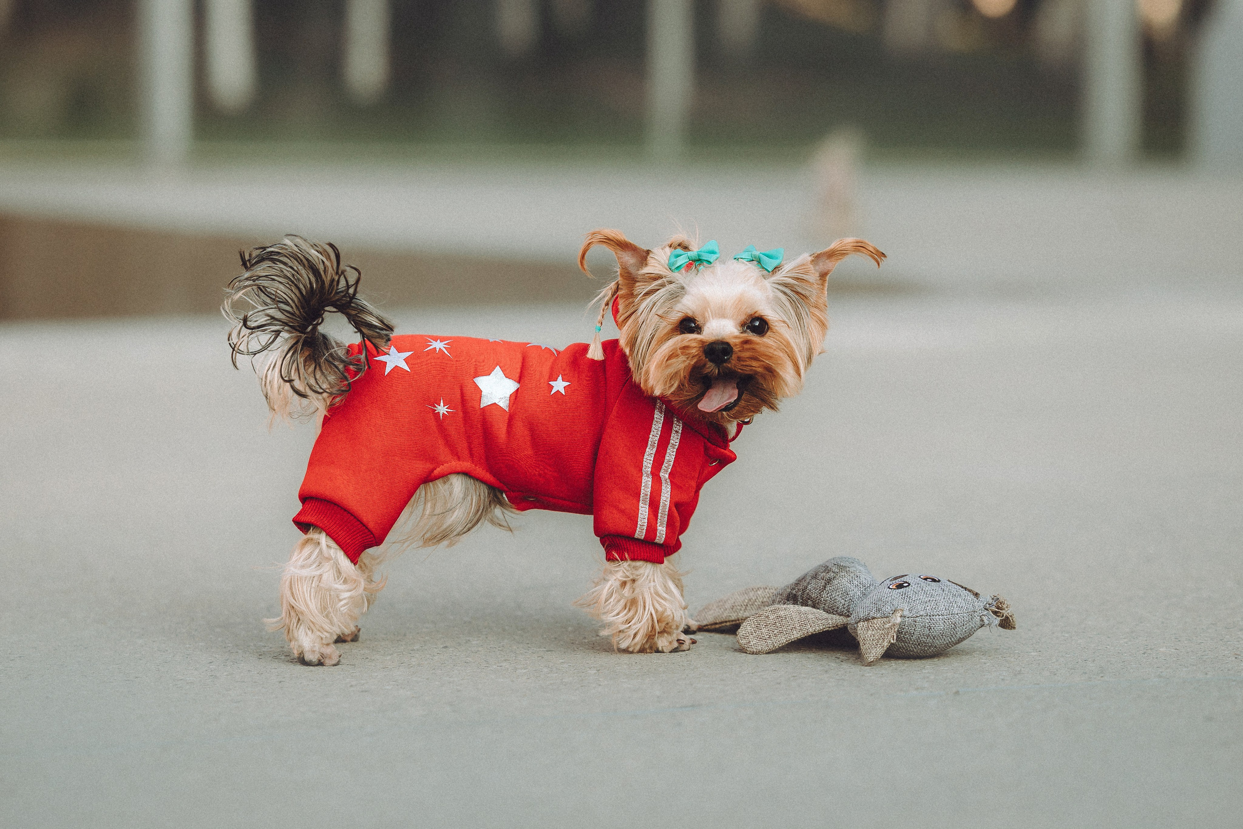 Дженни, Оливия и их семья