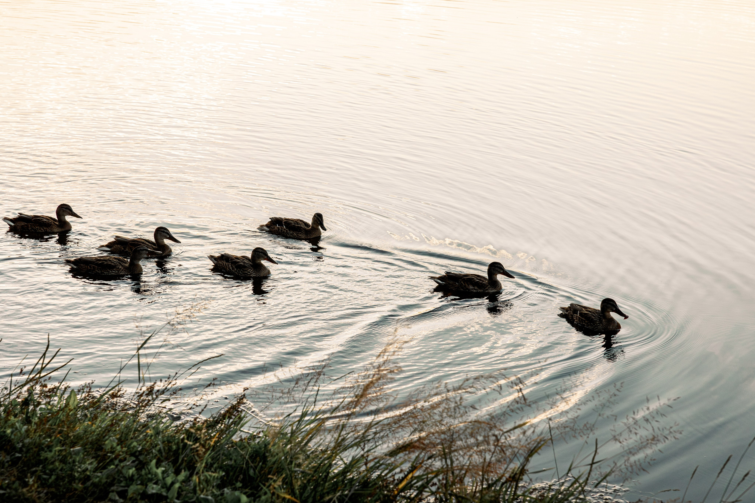 Женская фотосессия в Казани. Фотограф в Казани Ольга Яшина