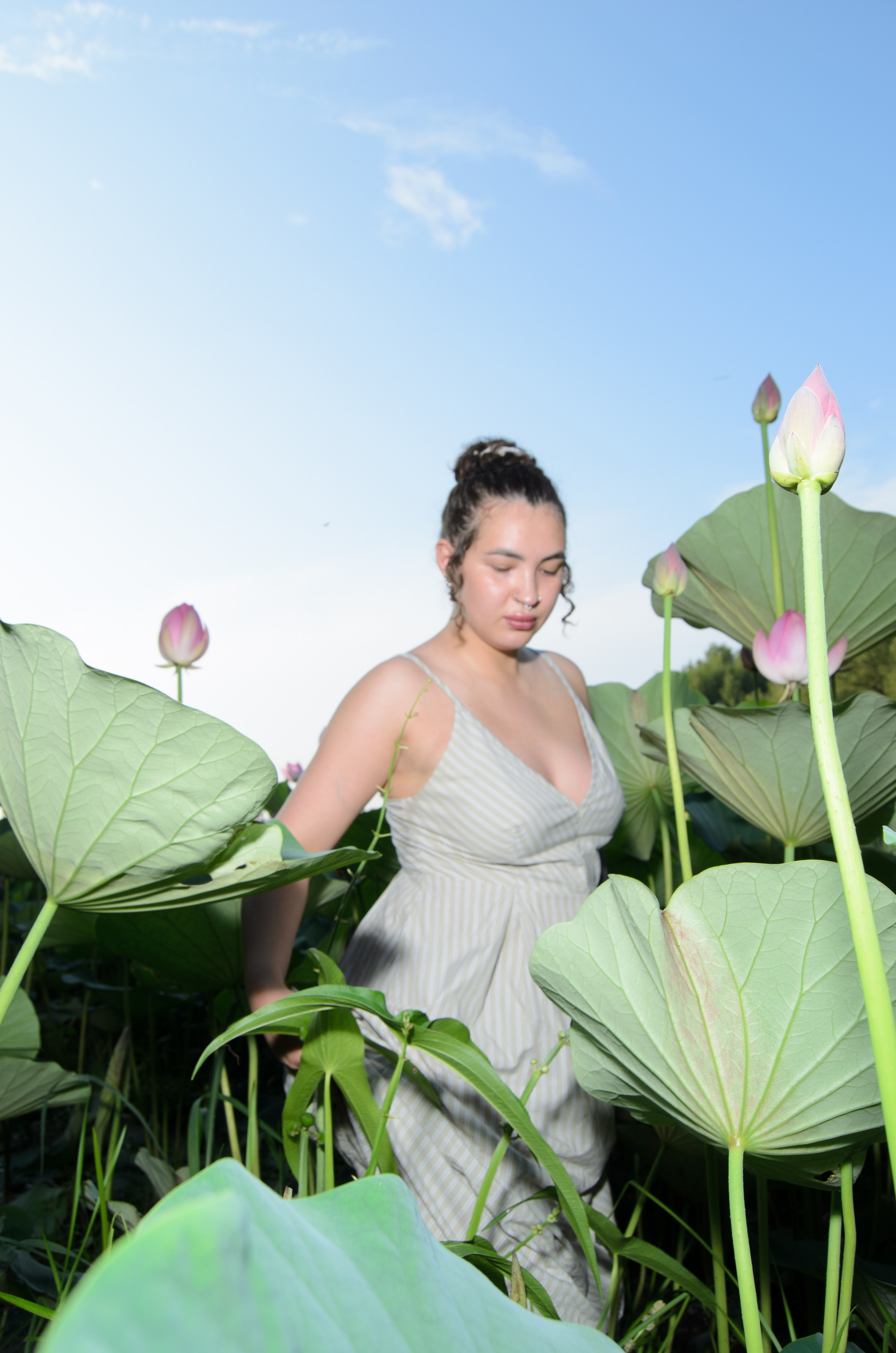 Лотосы. Колентеева Наталья/фотограф