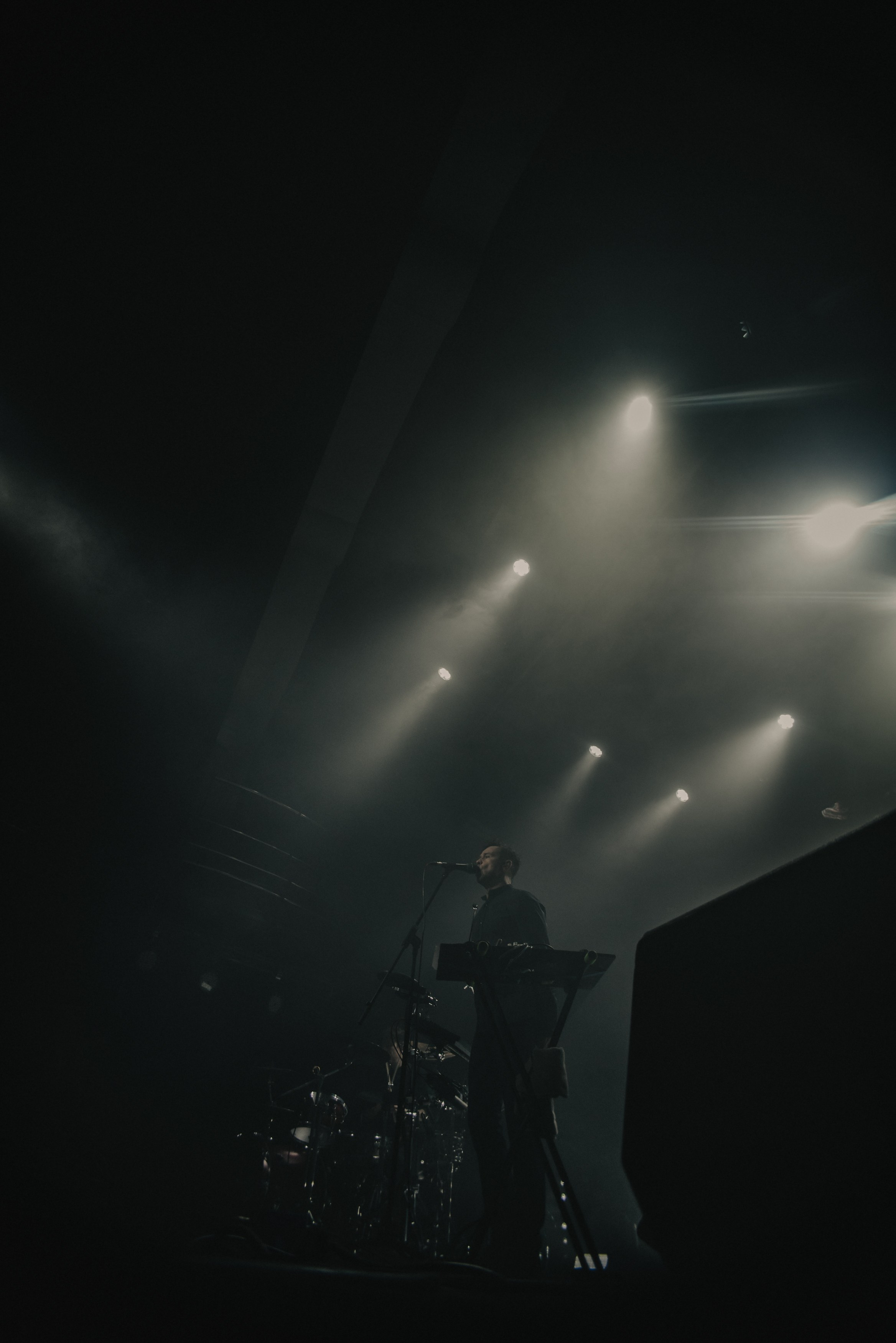 Дельфин | Gaudi. Контент фотограф Илья Урс