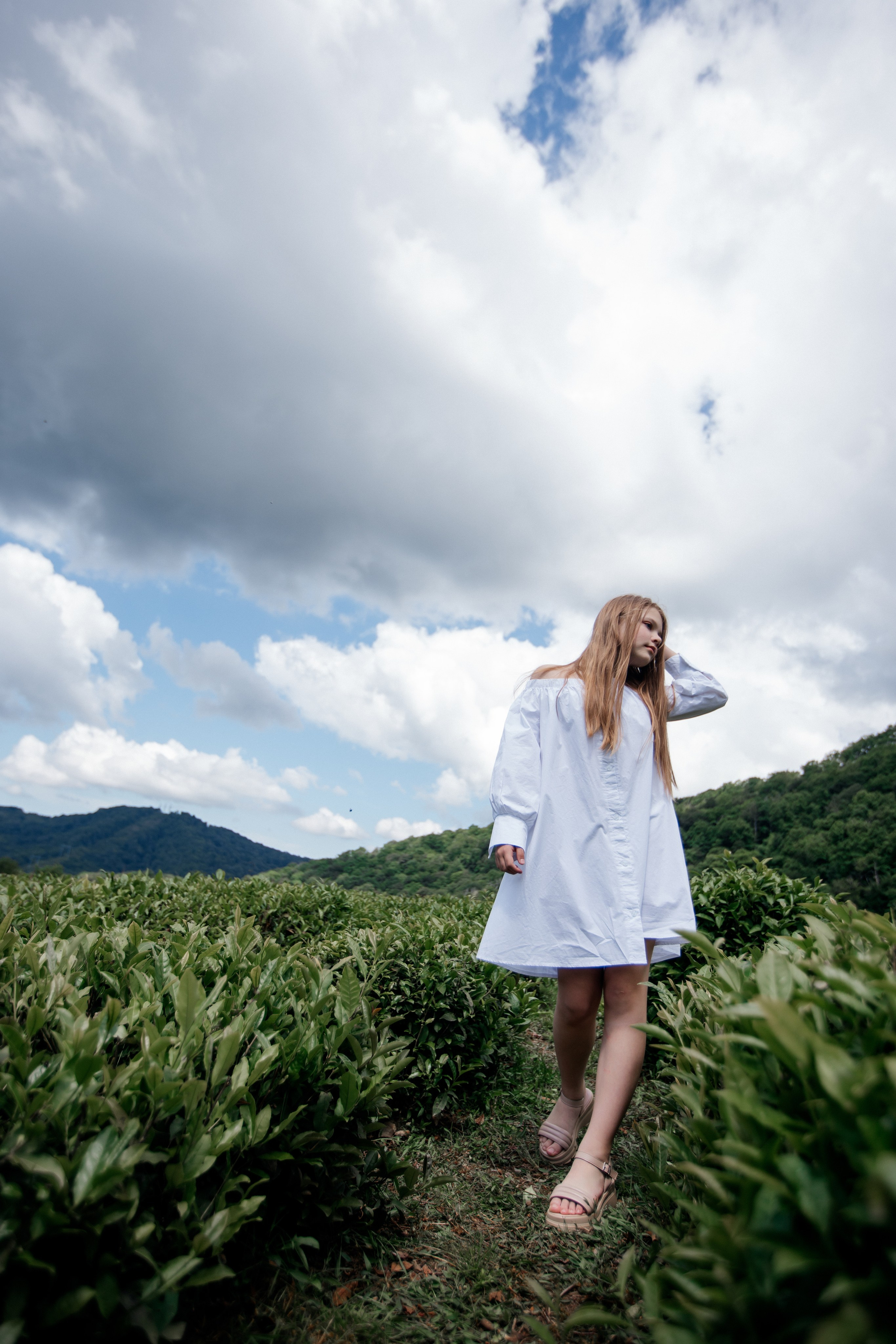 Tea plantation. Efimova Model Agency