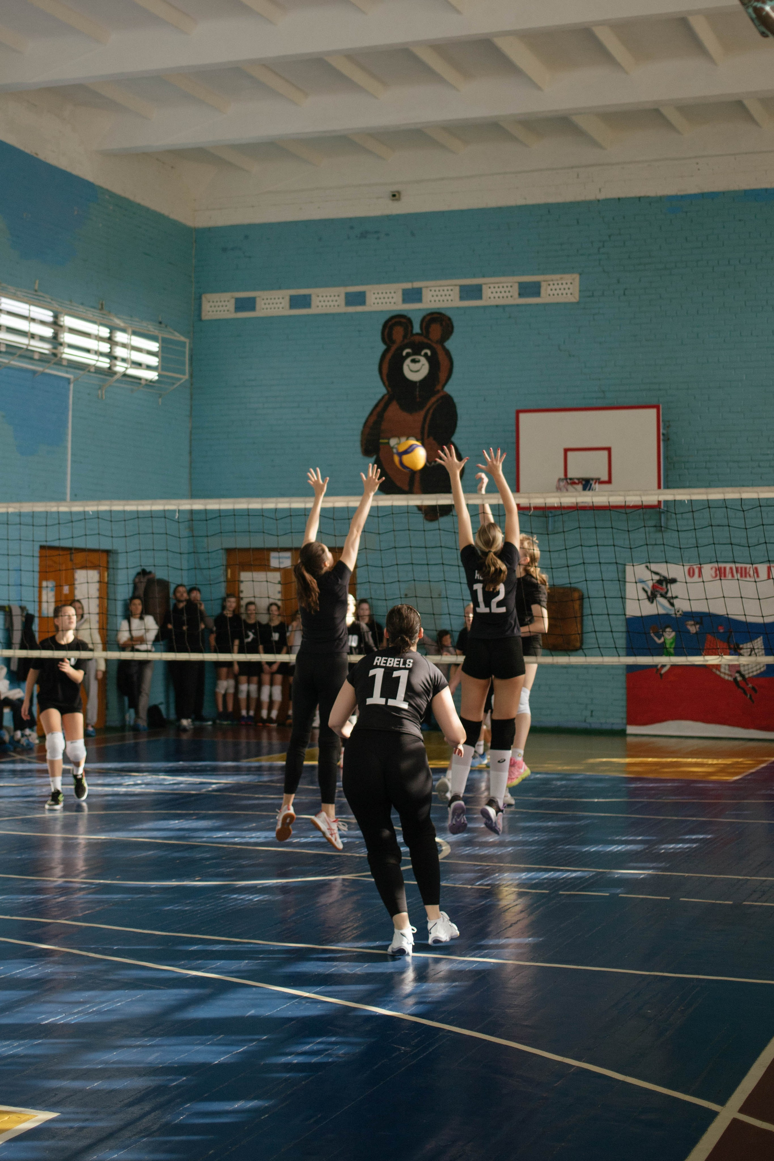 Woman's Volleyboll. Photographer in Tbilisi Saint-Petersburg Worldwide — Elena Golubeva