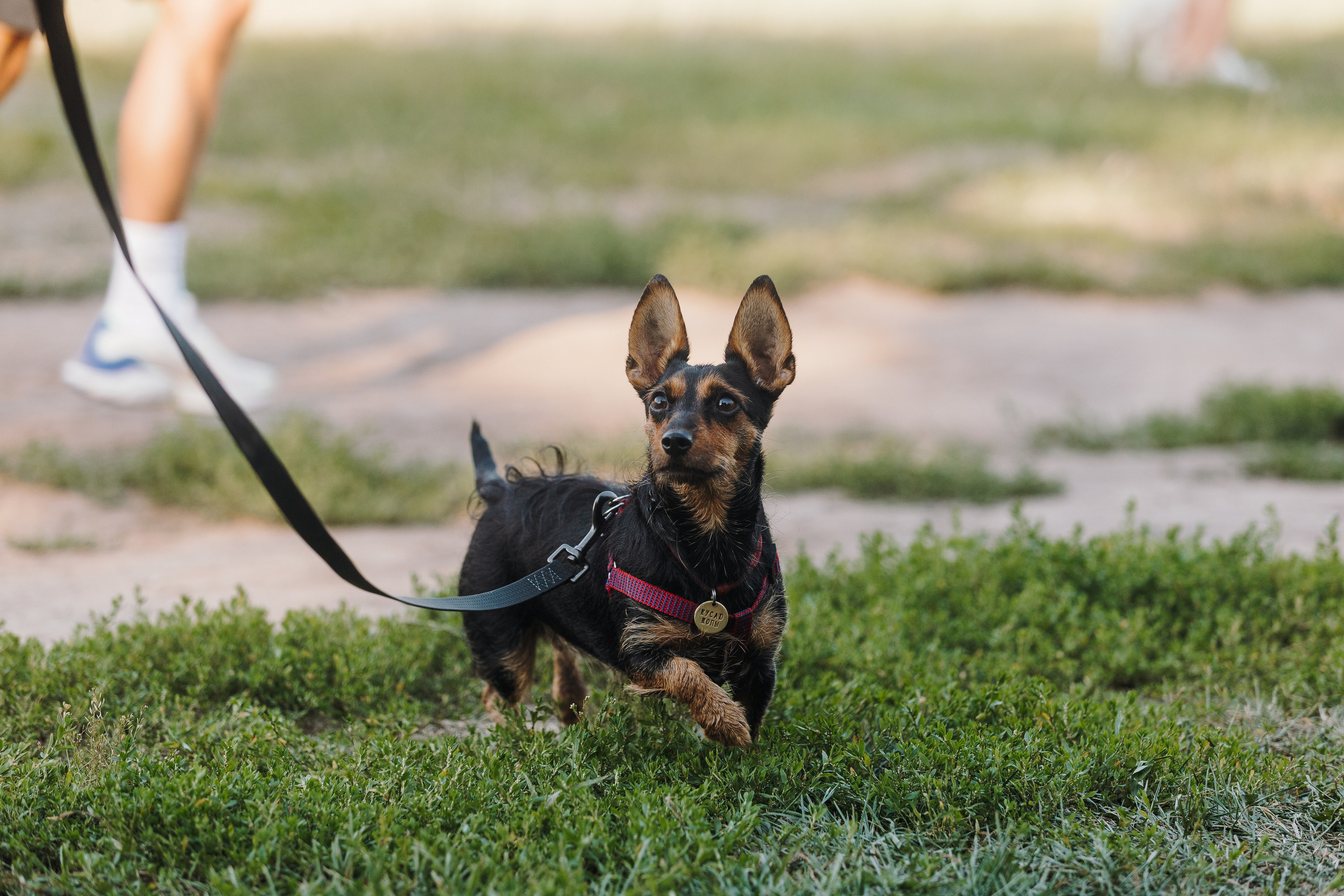 Petshop Sup day. Фотограф анималист Кристина Карпова, Москва