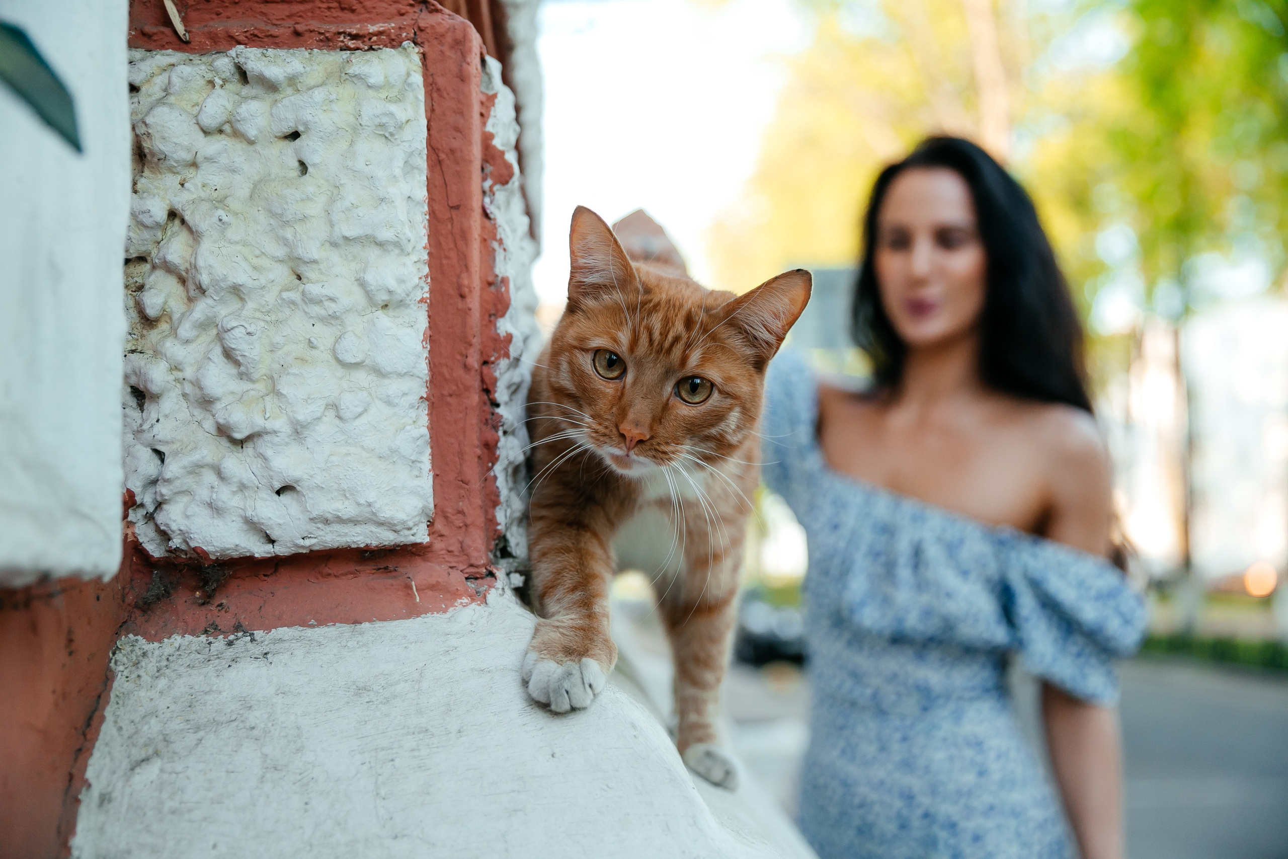 Уличная фотосессия. Свадебный и репортажный фотограф Александр Козлов