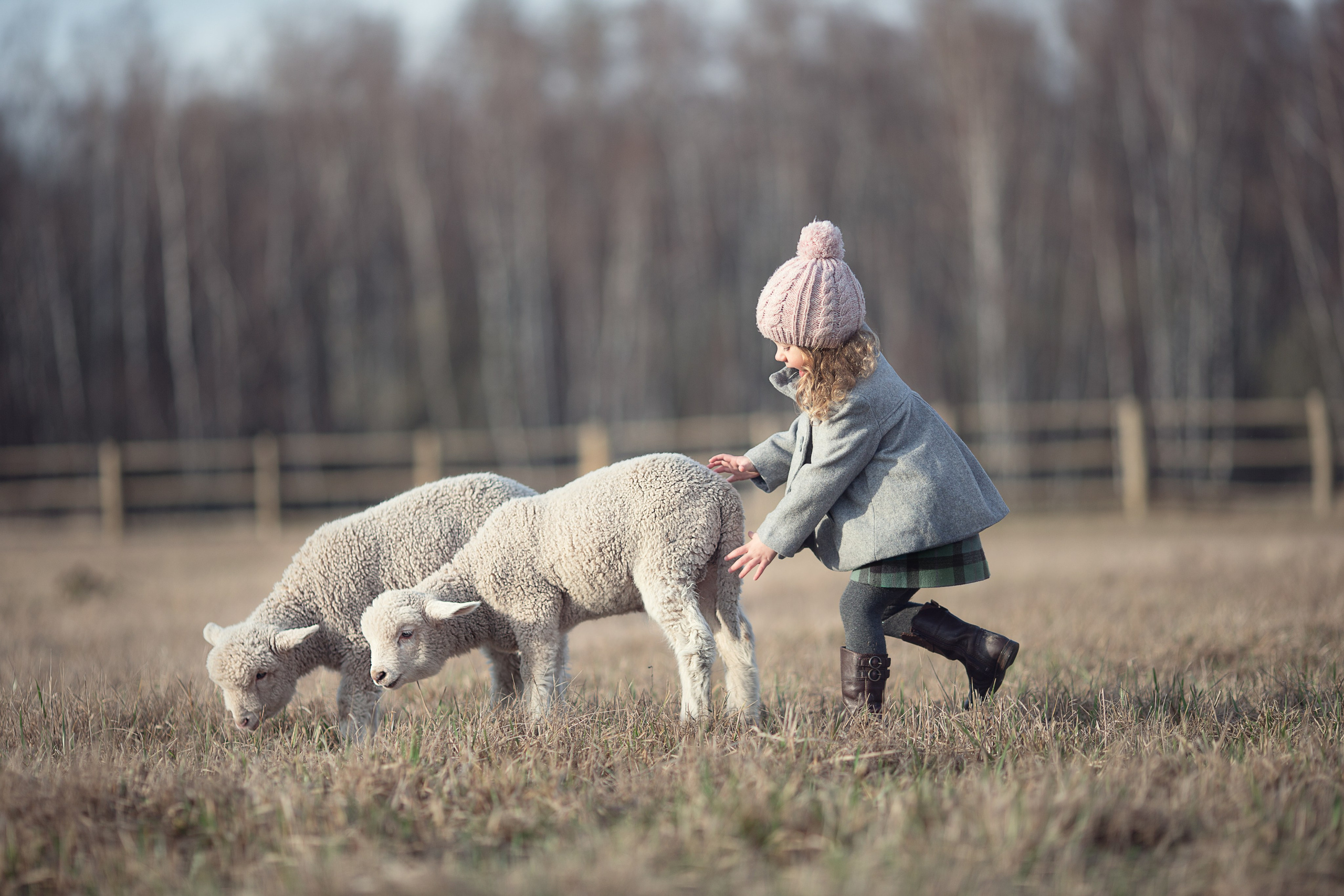 Портфолио. Карнеева Елена. Детский, семейный фотограф