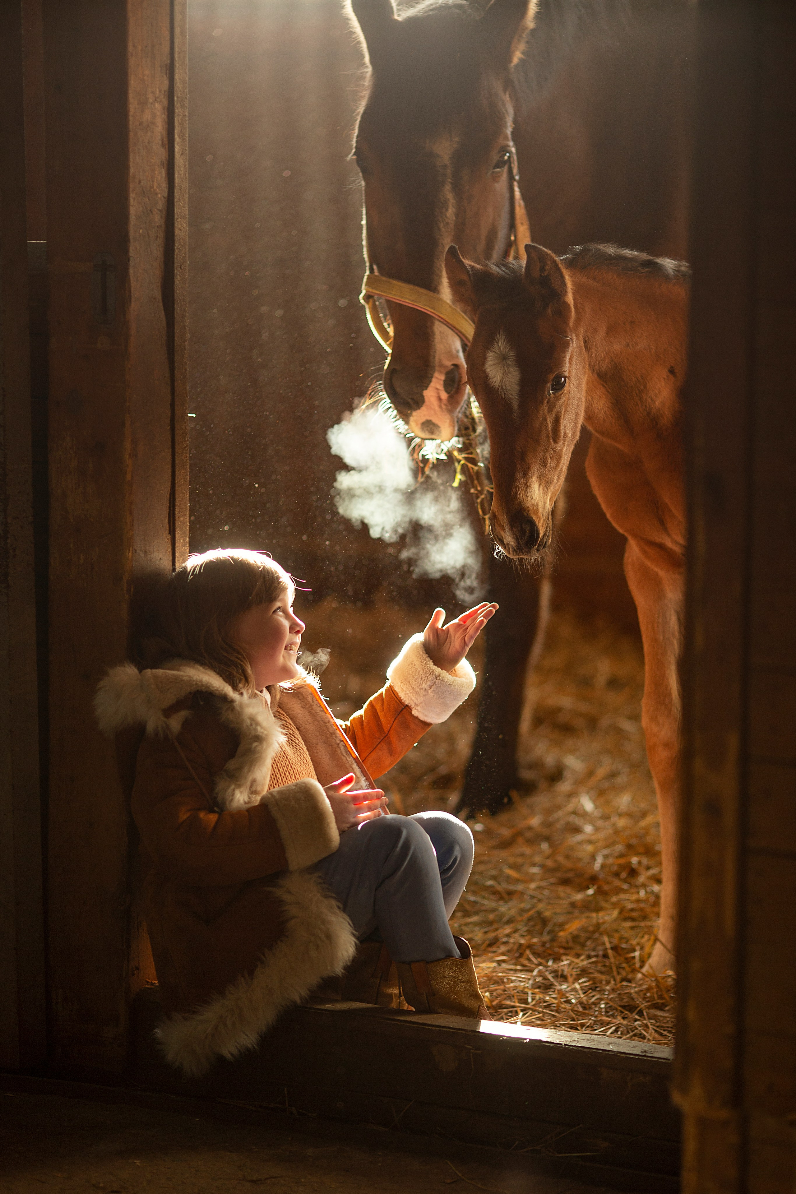 Портфолио. Карнеева Елена. Детский, семейный фотограф