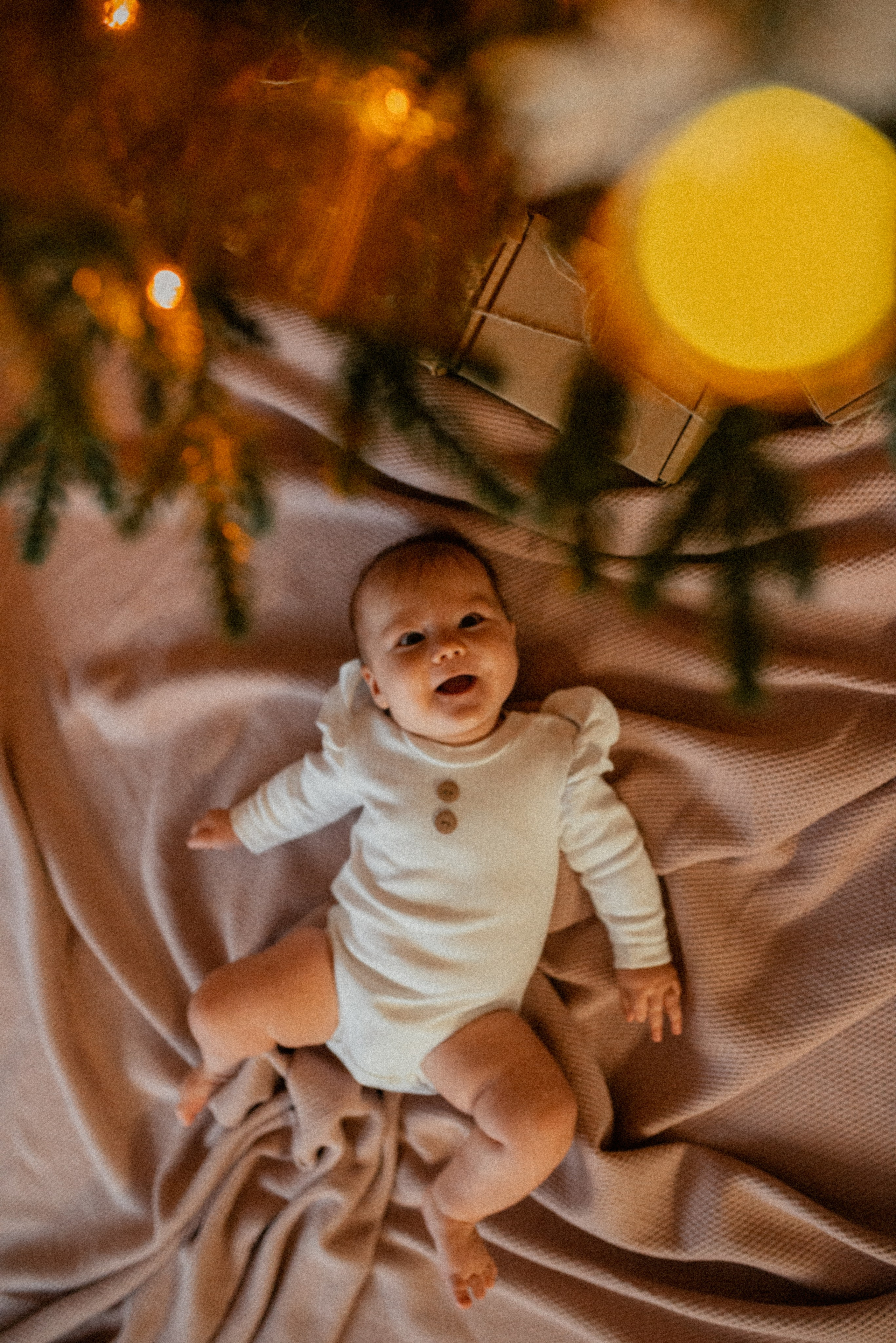 Домашняя 26.11.23. Галина Чекунова Фотограф в Ростове-на-Дону