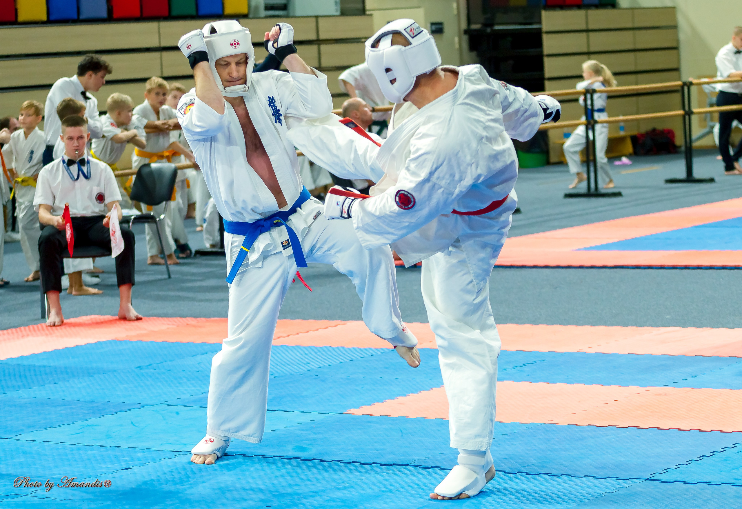 Первенство Московской области по Киокушин в СК «Жаворонки». Репортажная съемка в Москве и области. Анималистика