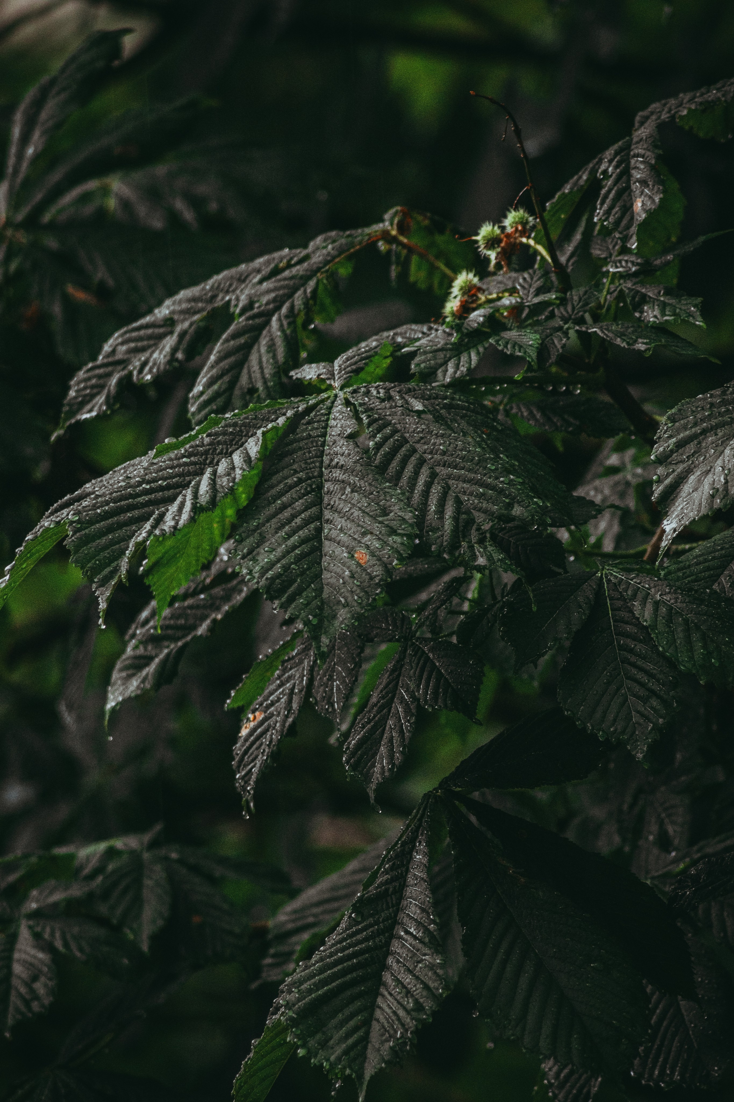 Т Е П Л Ы Й — З Е Л Е Н Ы Й. — Digital Noise —