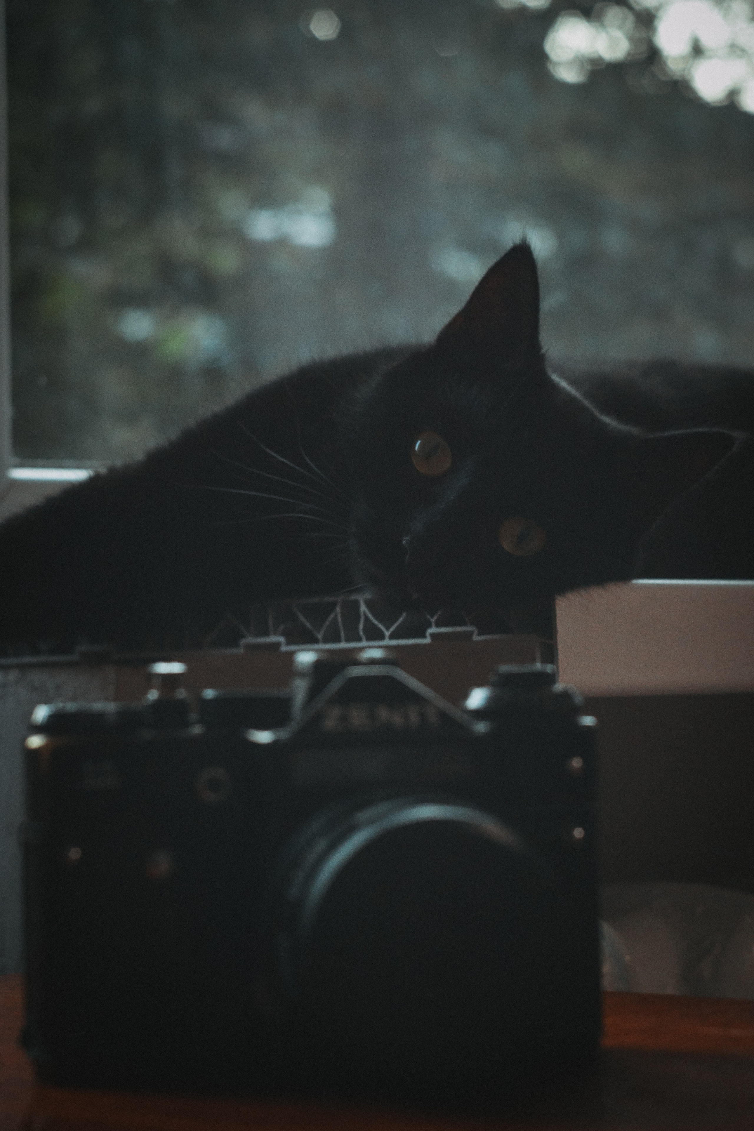 Л Ю Ц И Ф Е Р. — Digital Noise —