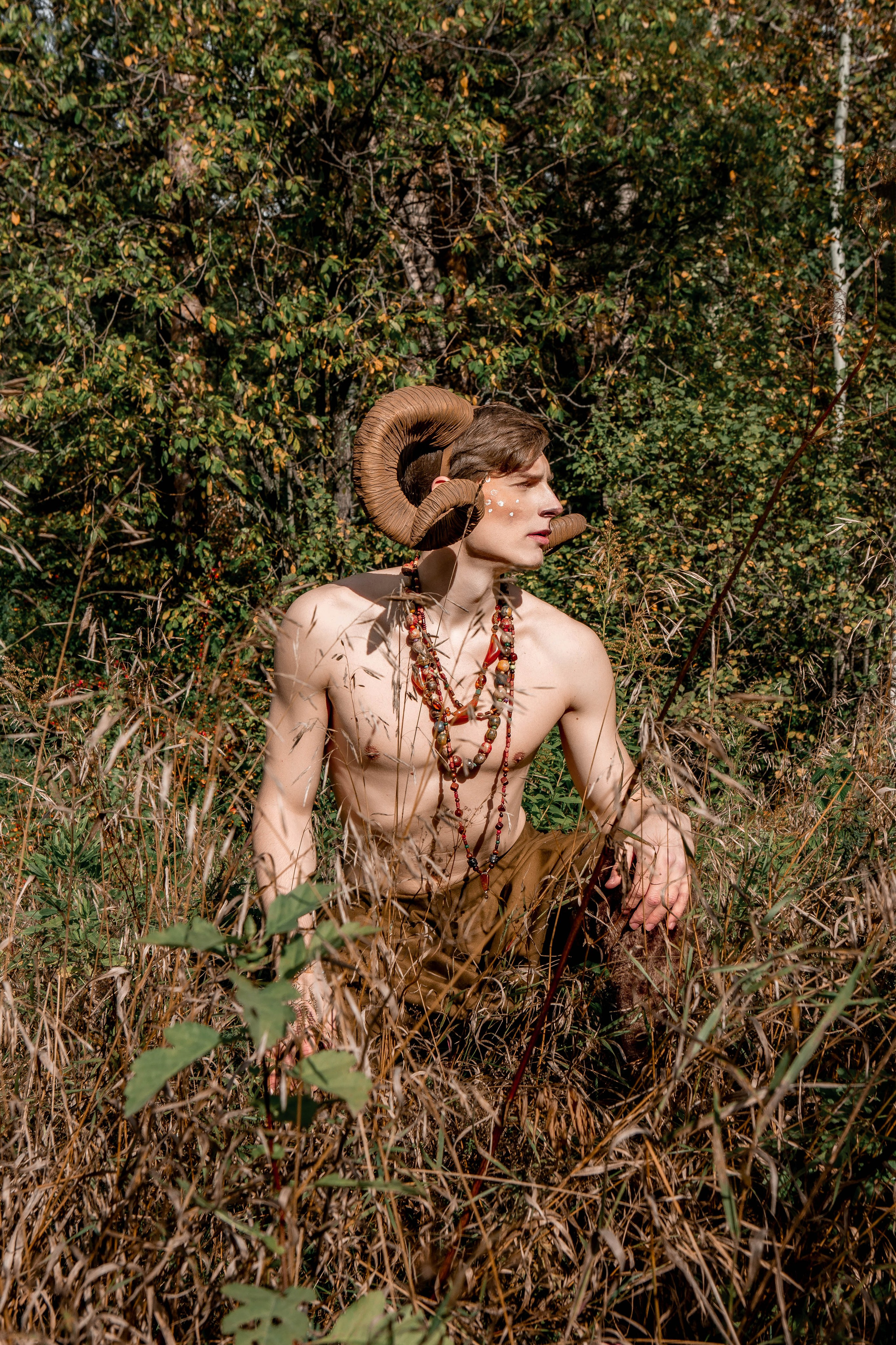 Волшебный лес. Фотограф Екатерина Голицына