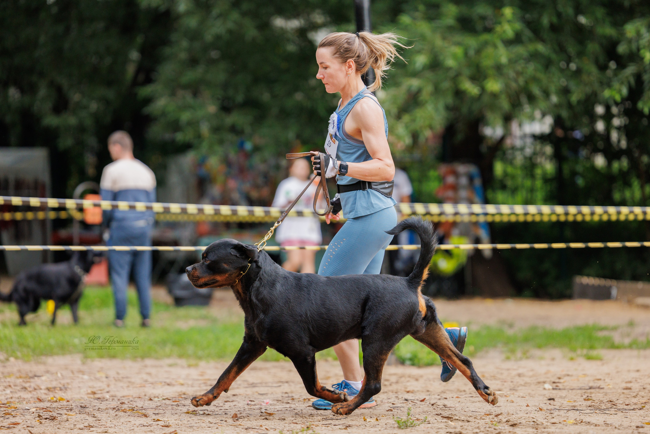 Рязань-Ховрино 10-11.08.2024 3хмоно ротвейлеров. Фотограф-анималист Юлия Германика