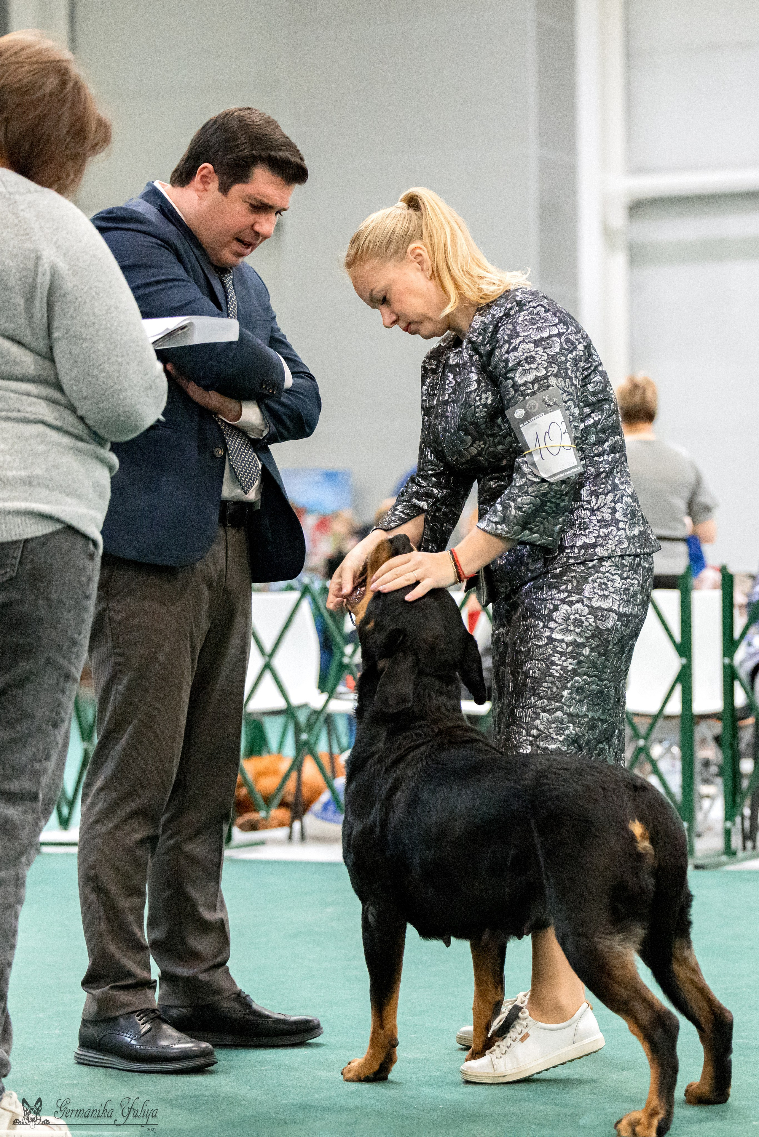 Сфера 29.10,Крокус 4.11,Сфера 12.11.2023. Фотограф-анималист Юлия Германика