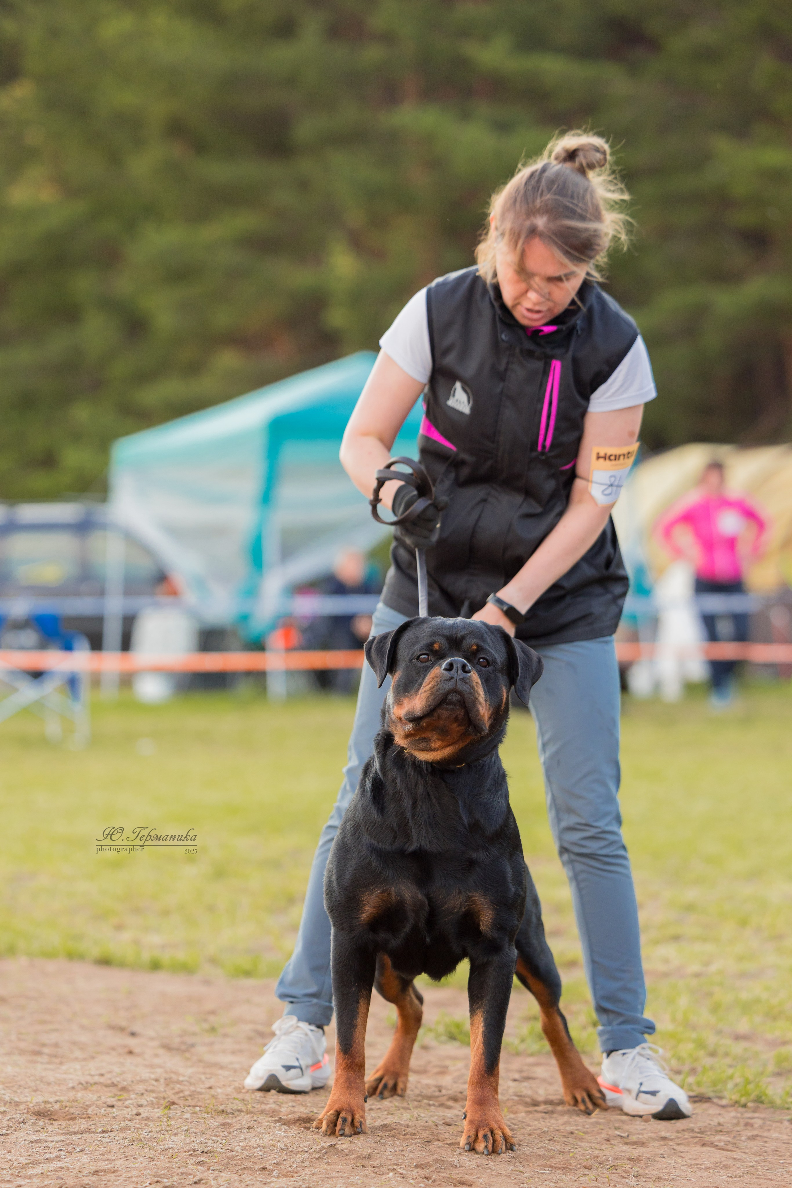Тверь ротвейлеры 5-6.07.2025. Фотограф-анималист Юлия Германика