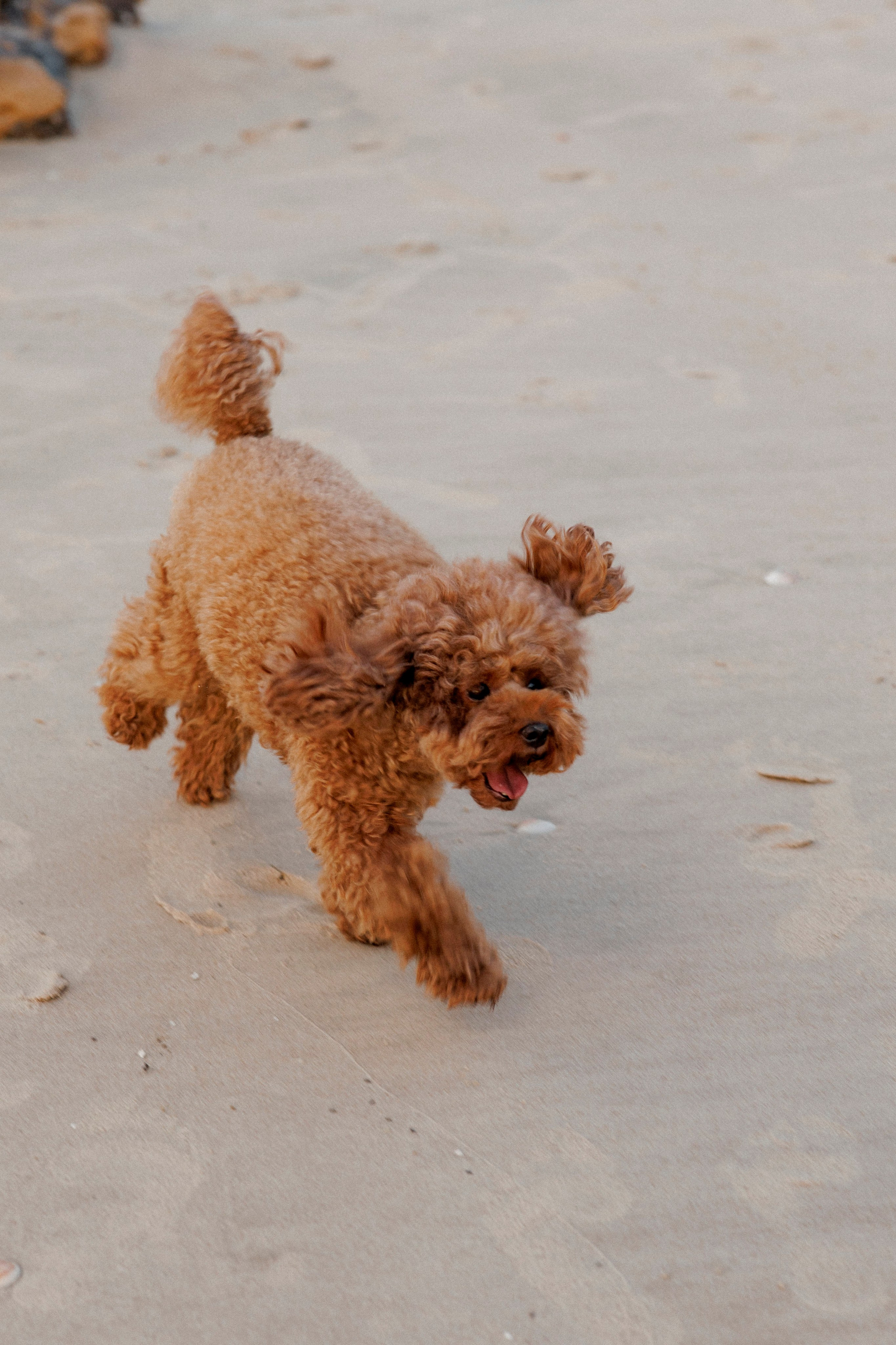 First year family photos near the sea. Главная