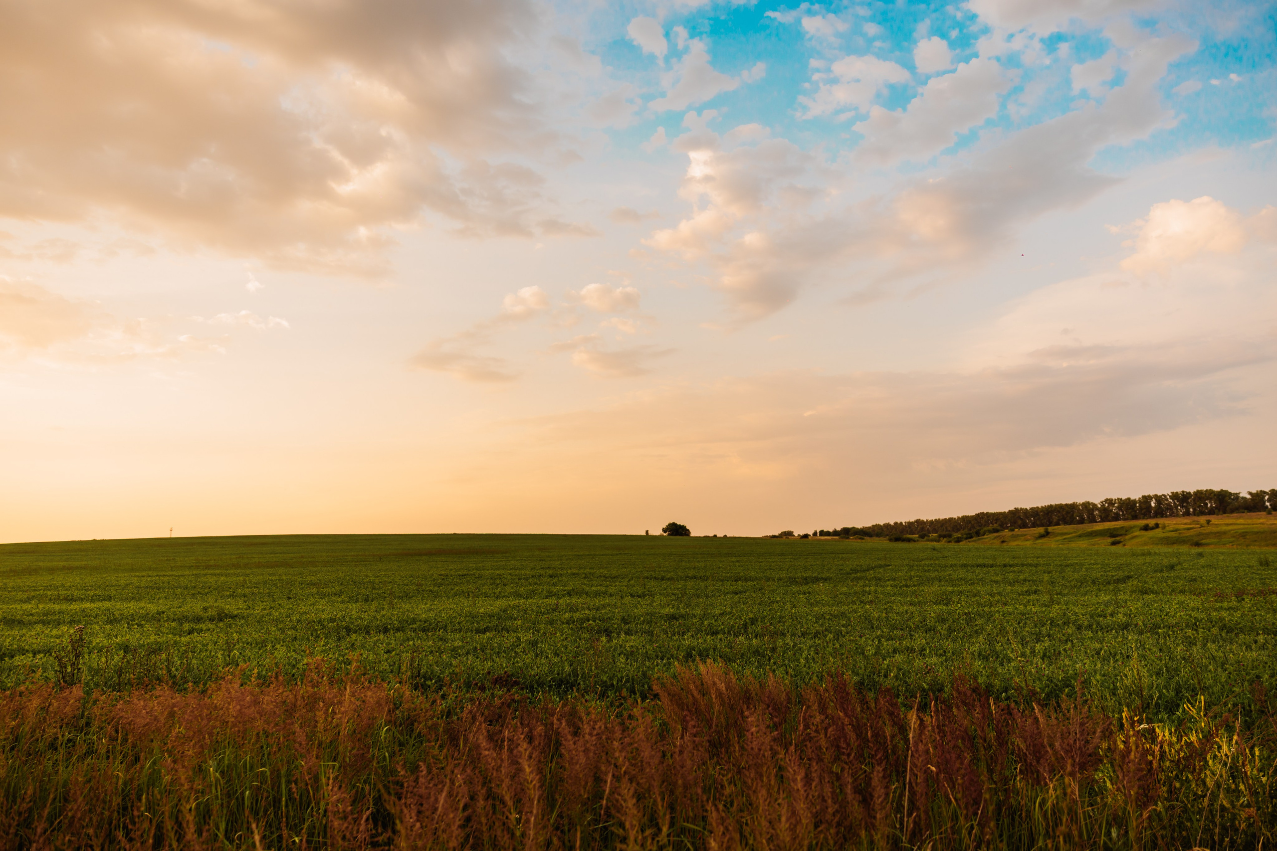 Гостевой Дом «Ривьера» | г. Коломна. ФОТОГРАФ ИРИНА ШАМАТАВА