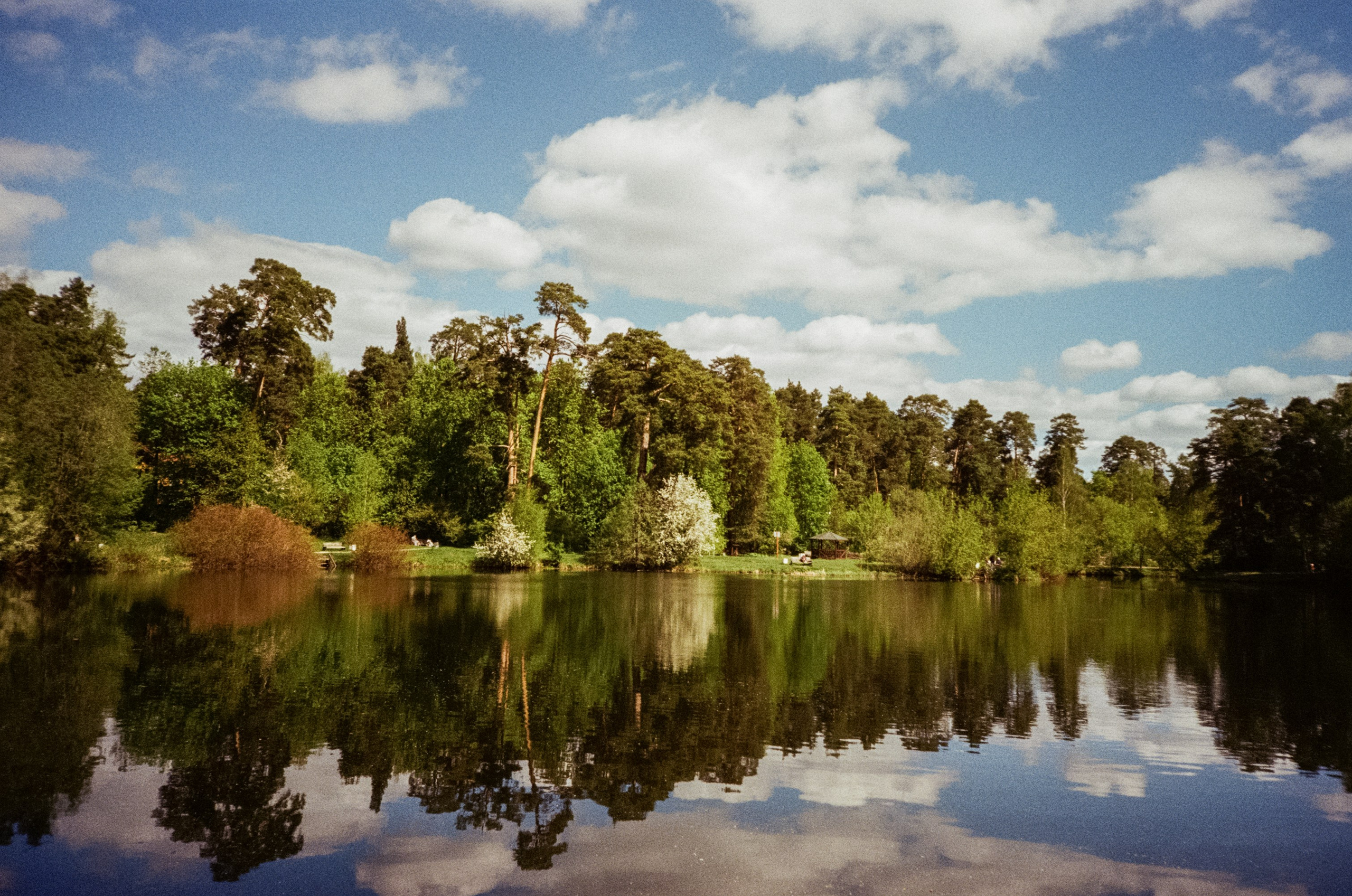 Ricoh R1 | Kodak ProImage 100 | 6 мая 2025 года СерБор
