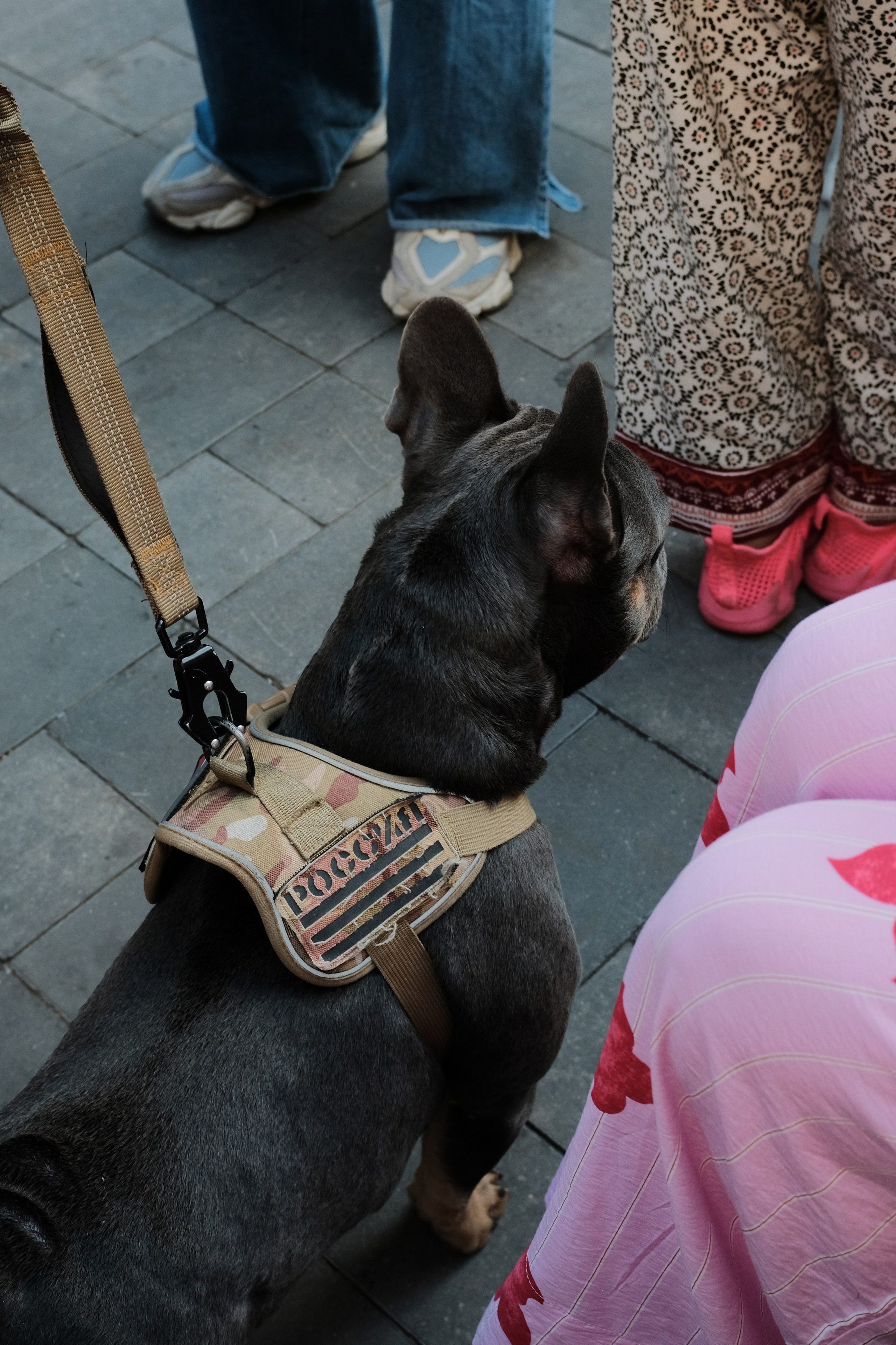 Rostov-on-Don. Creative travel photographer — Berg Daria