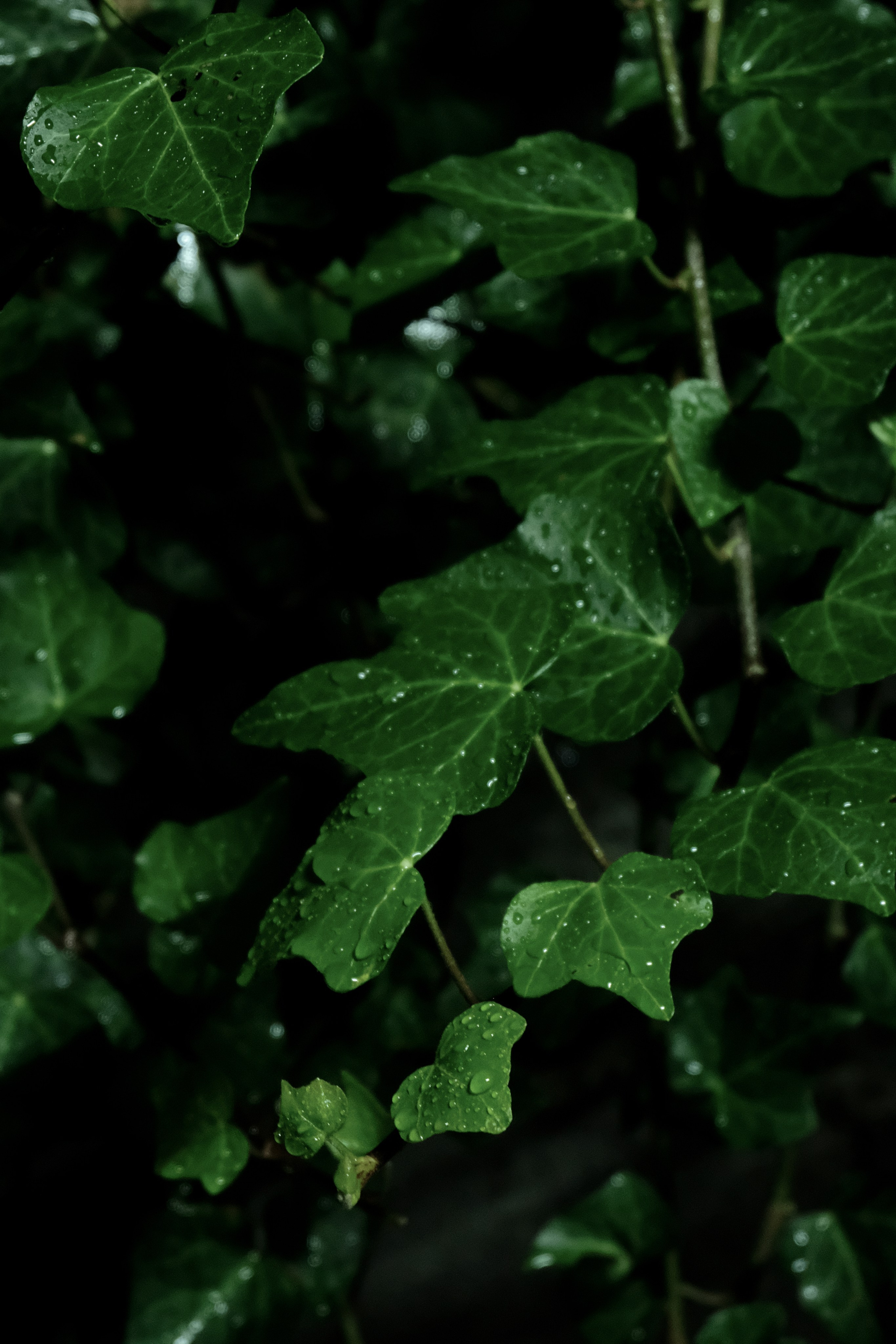 Krasnaya Polyana. Creative travel photographer — Berg Daria