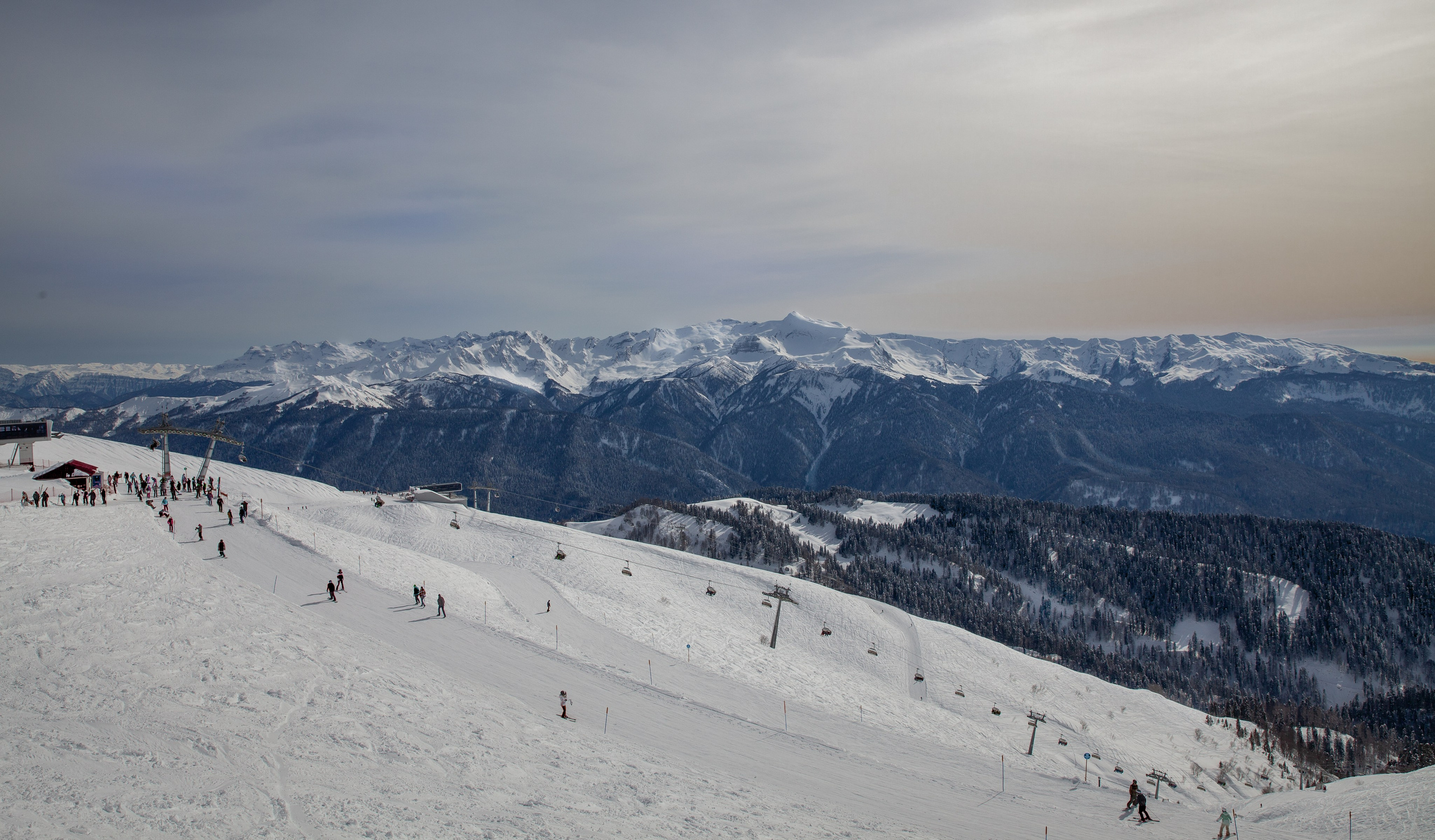 Роза Хутор-Красная поляна -Абхазия. Мой фотомир