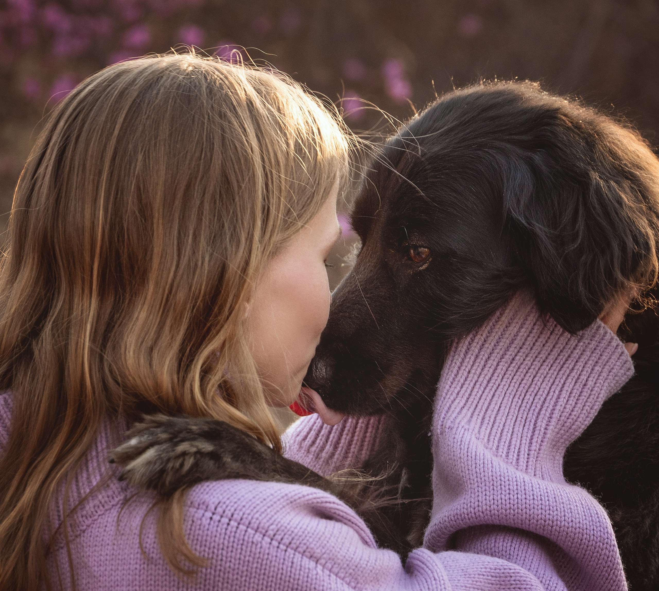 Съемка с собаками, животными. Сайт фотографа Елены Коноваловой Иркутск